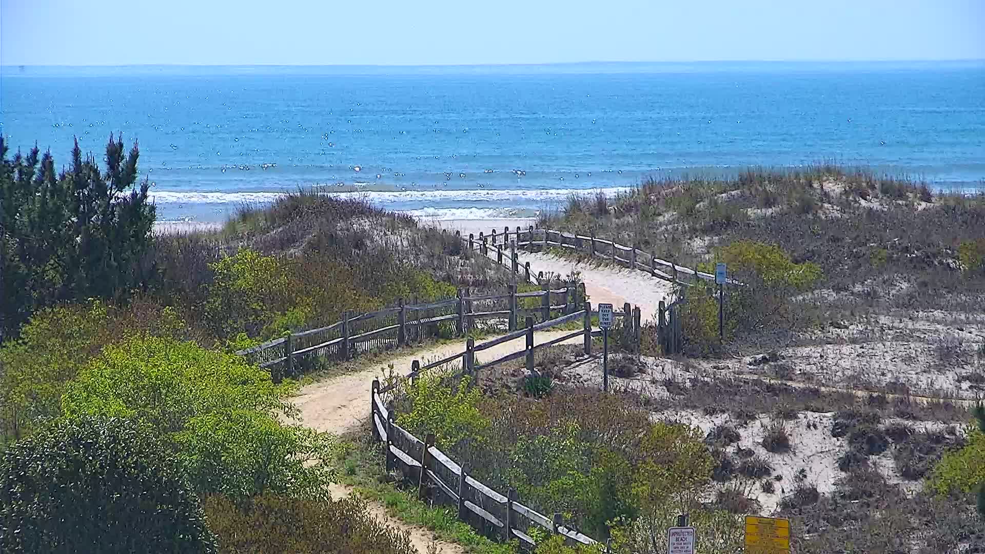 30th Street Beach PZT