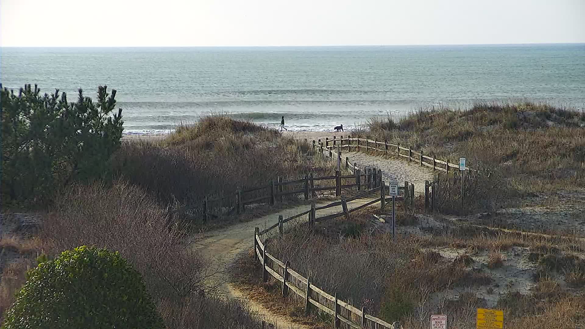 30th Street Beach PZT
