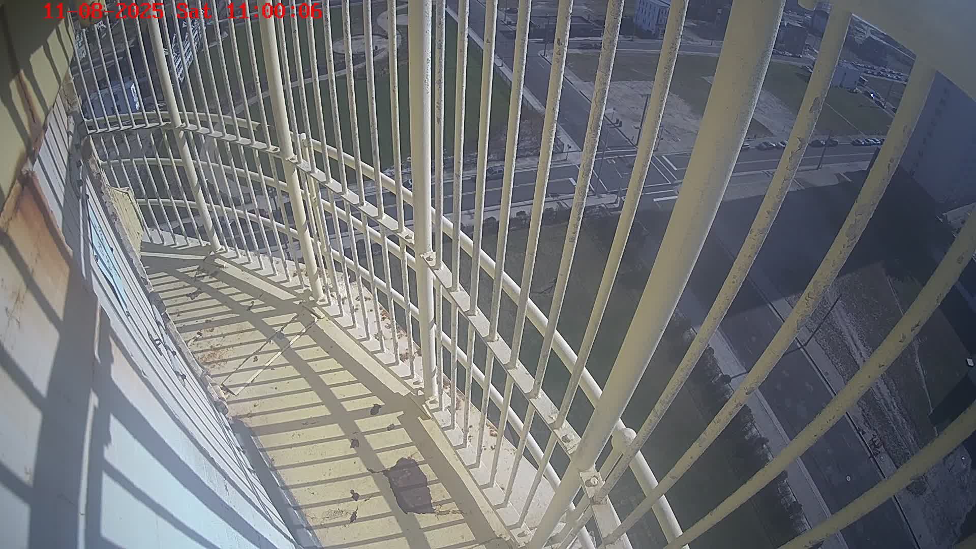 Absecon Lighthouse at the Top Selfie Cam (iMadeItToTheTop.com)