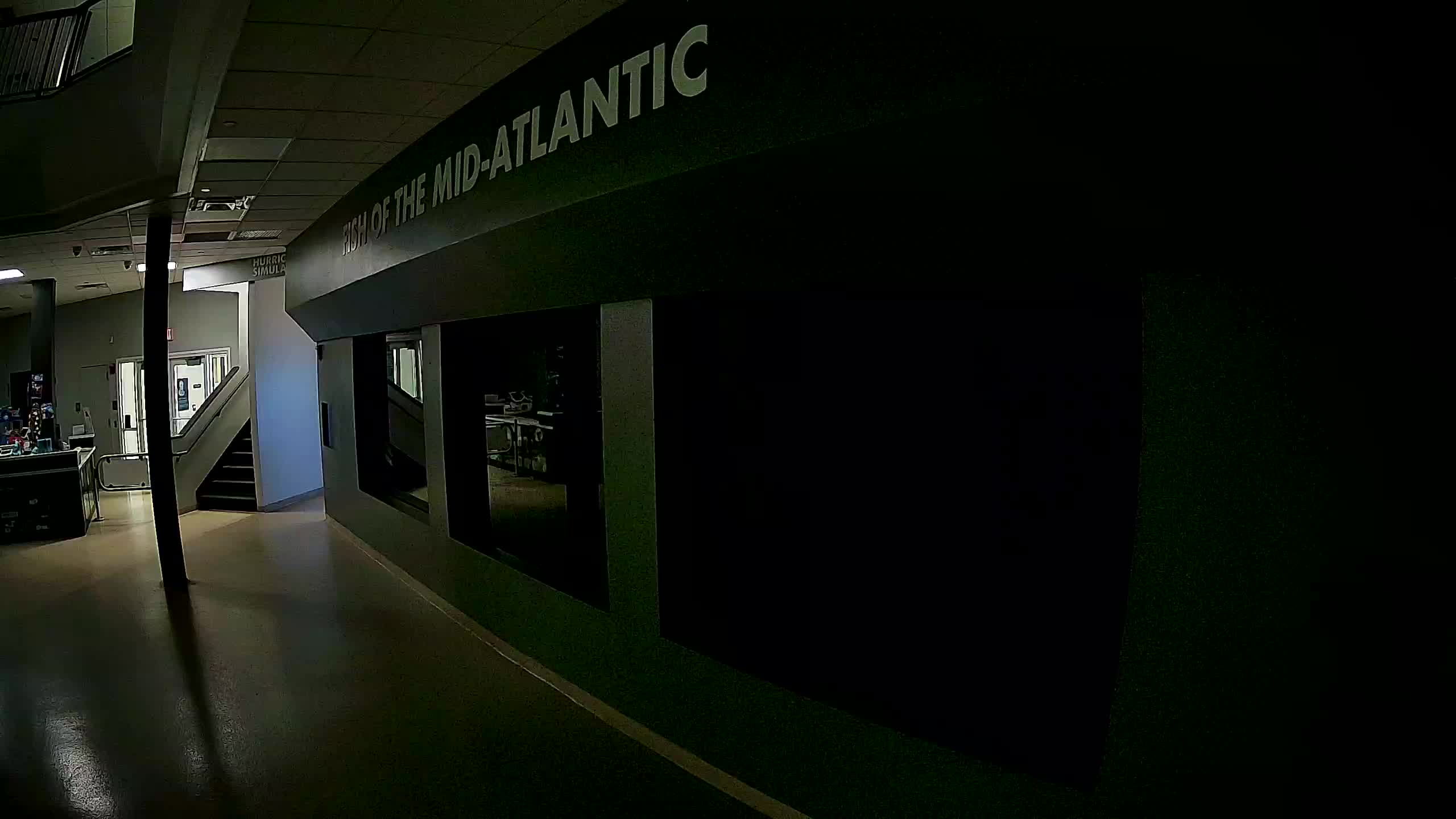 Atlantic City Aquarium Main Tank