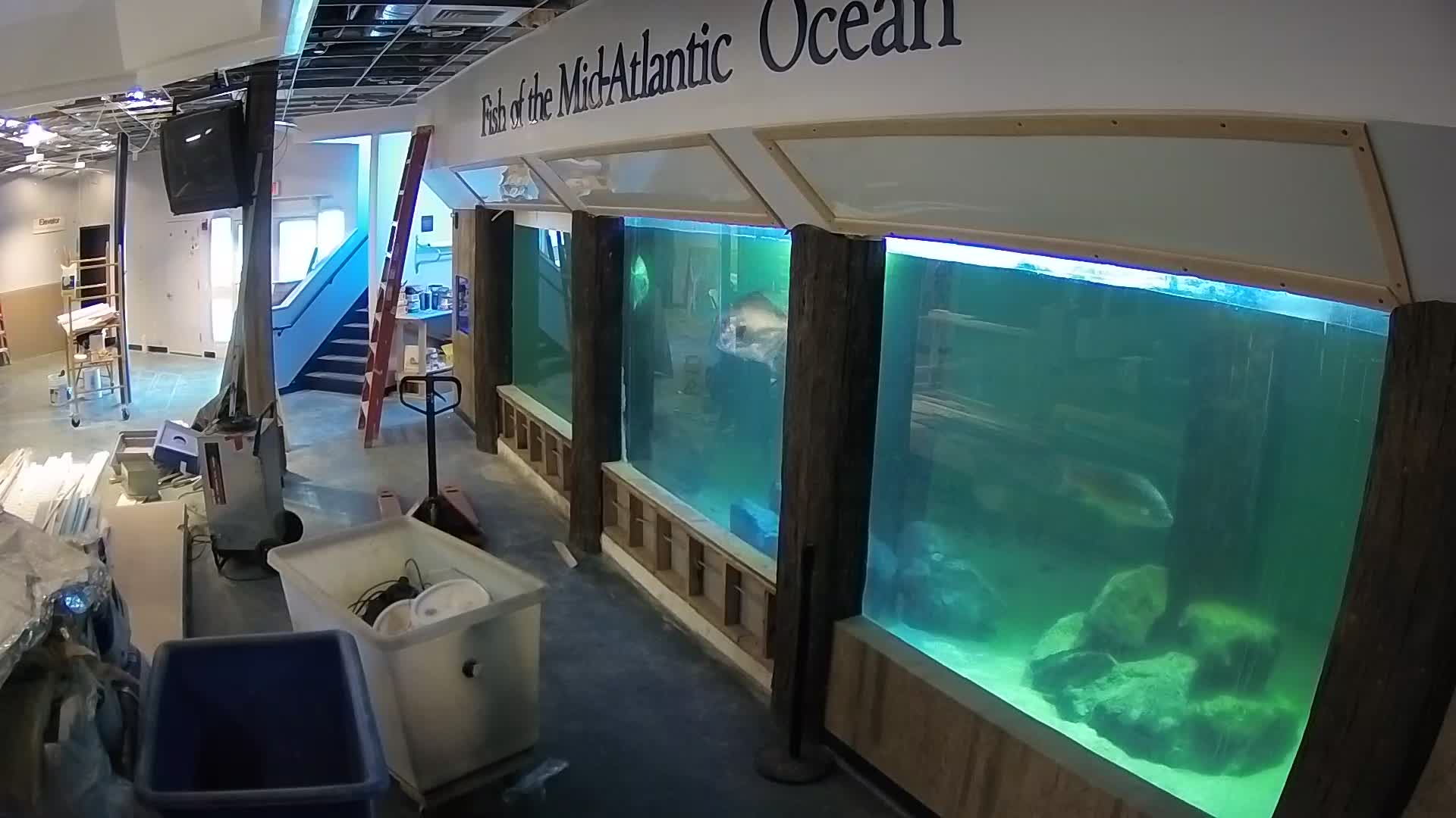 Atlantic City Aquarium Main Tank