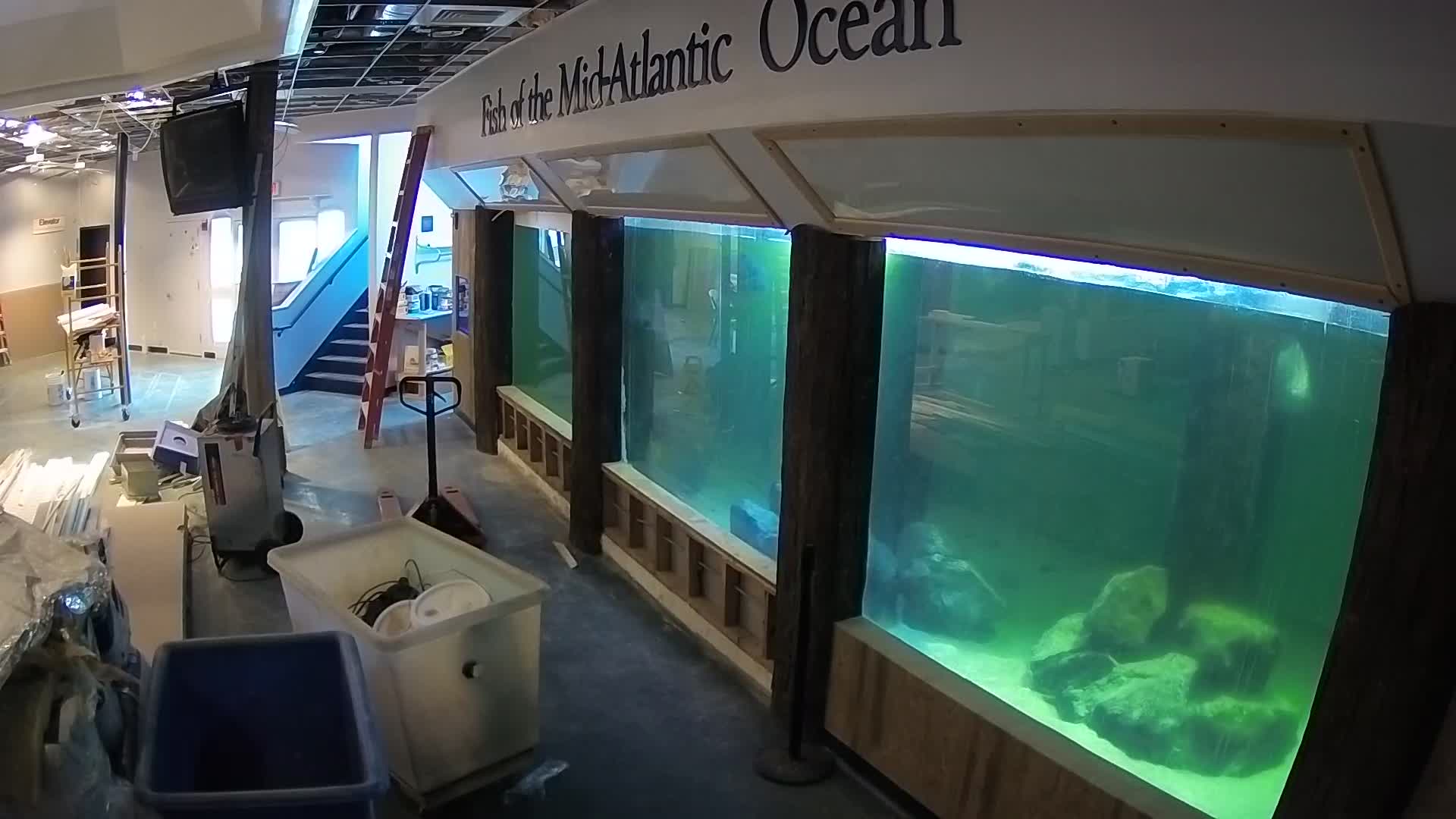 Atlantic City Aquarium Main Tank