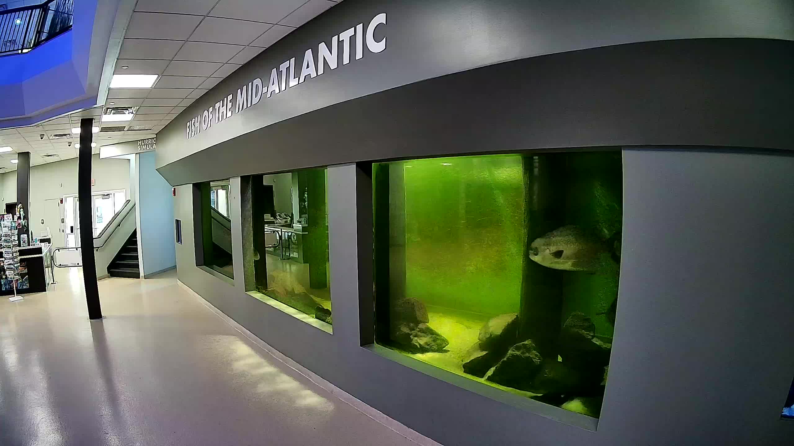 Atlantic City Aquarium Main Tank