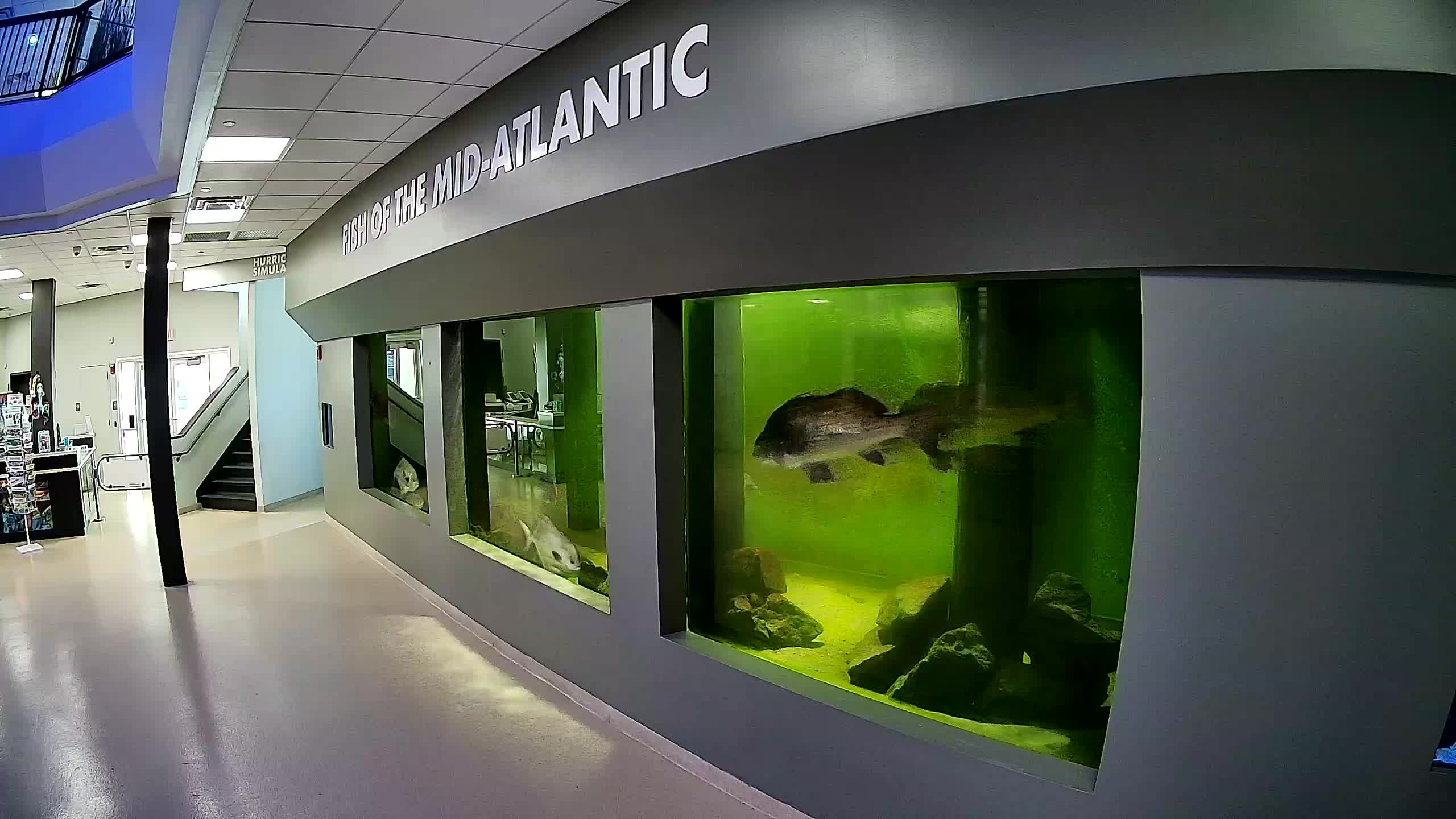 Atlantic City Aquarium Main Tank
