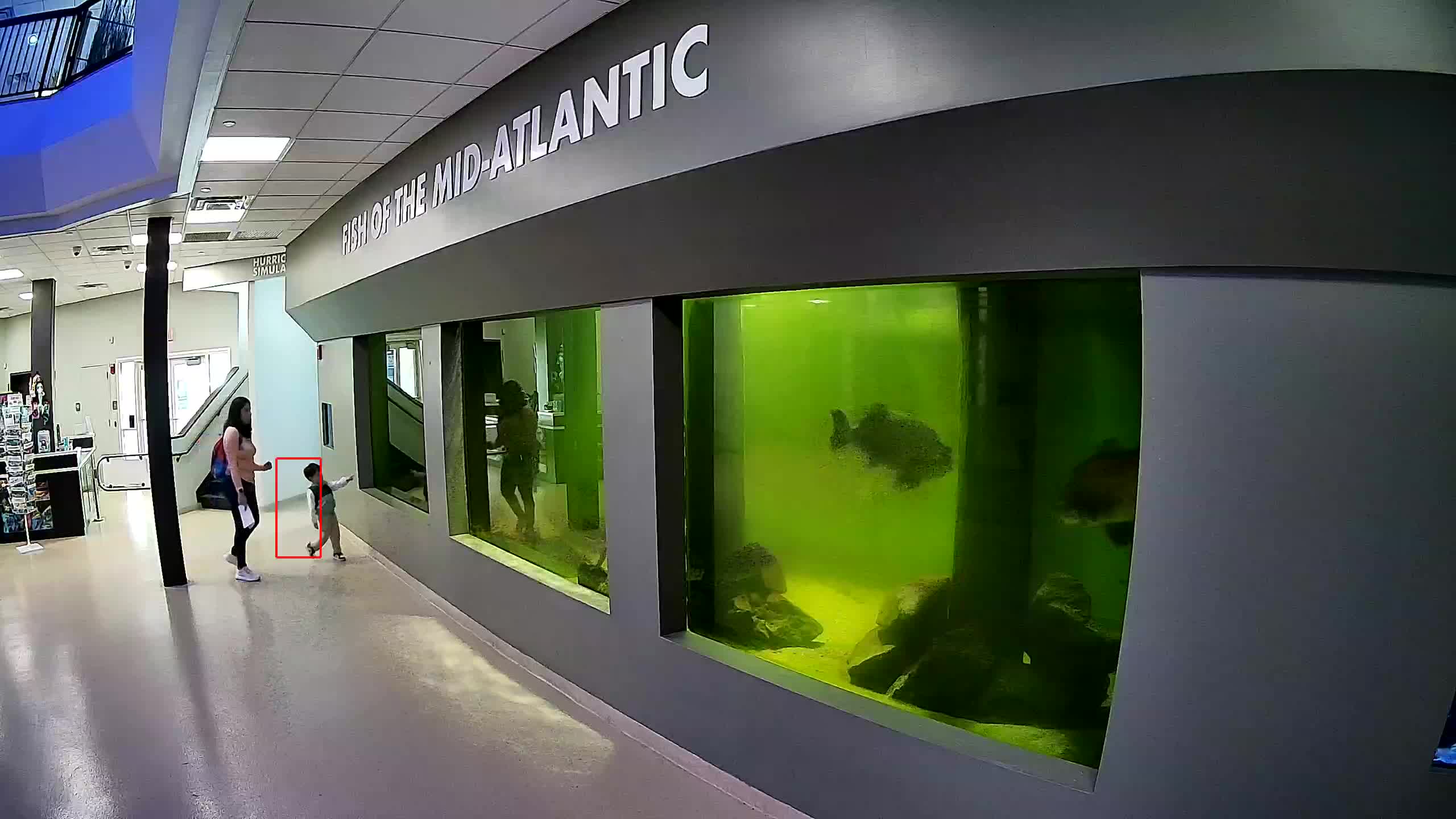 Atlantic City Aquarium Main Tank