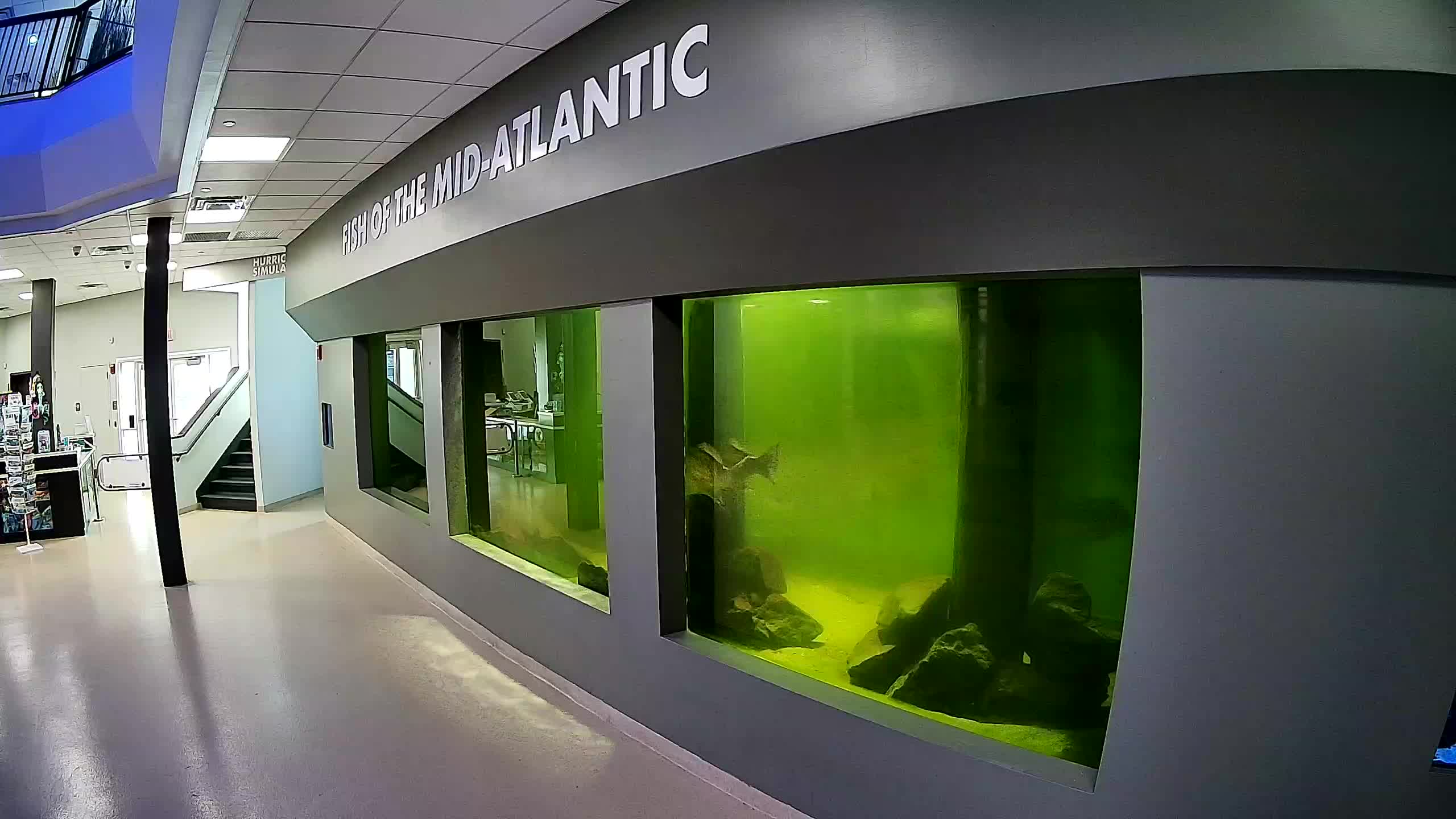 Atlantic City Aquarium Main Tank