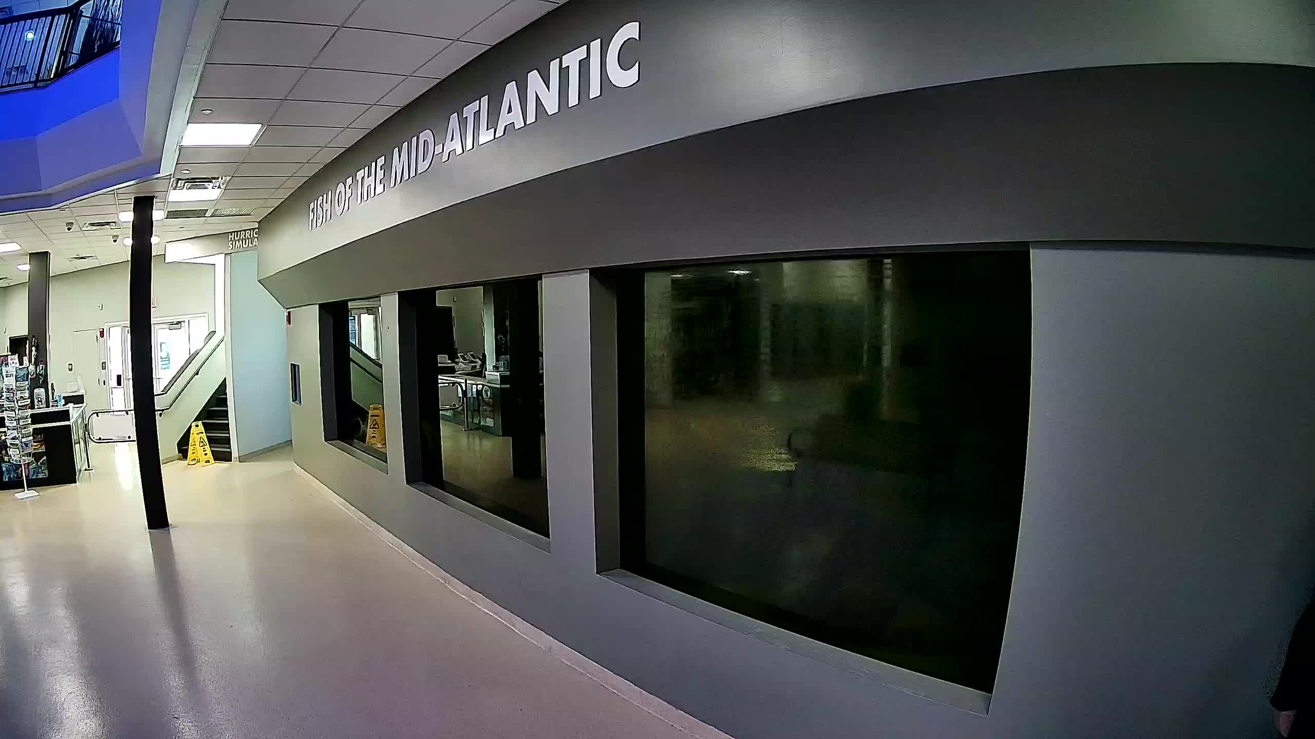 Atlantic City Aquarium Main Tank