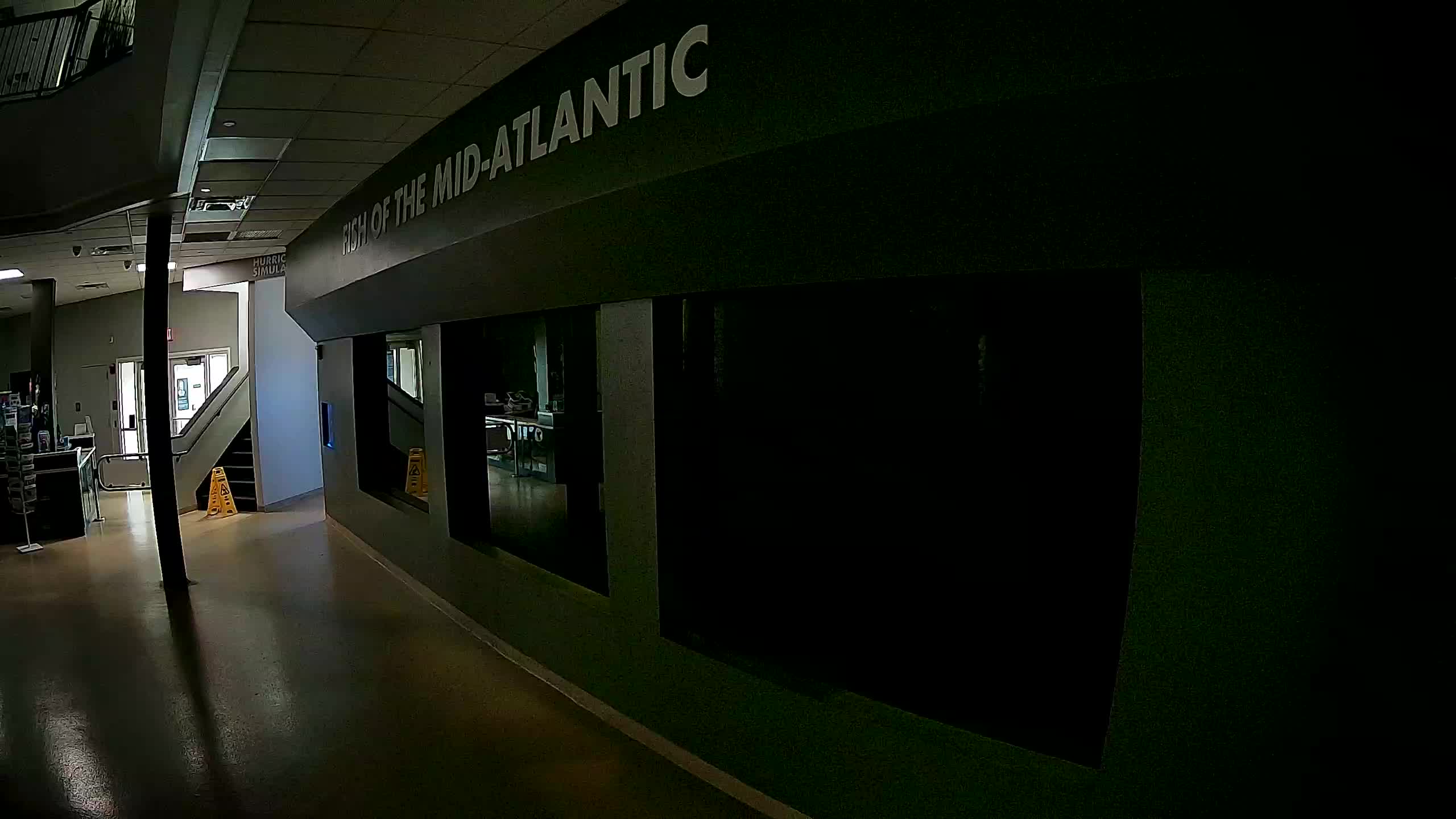 Atlantic City Aquarium Main Tank