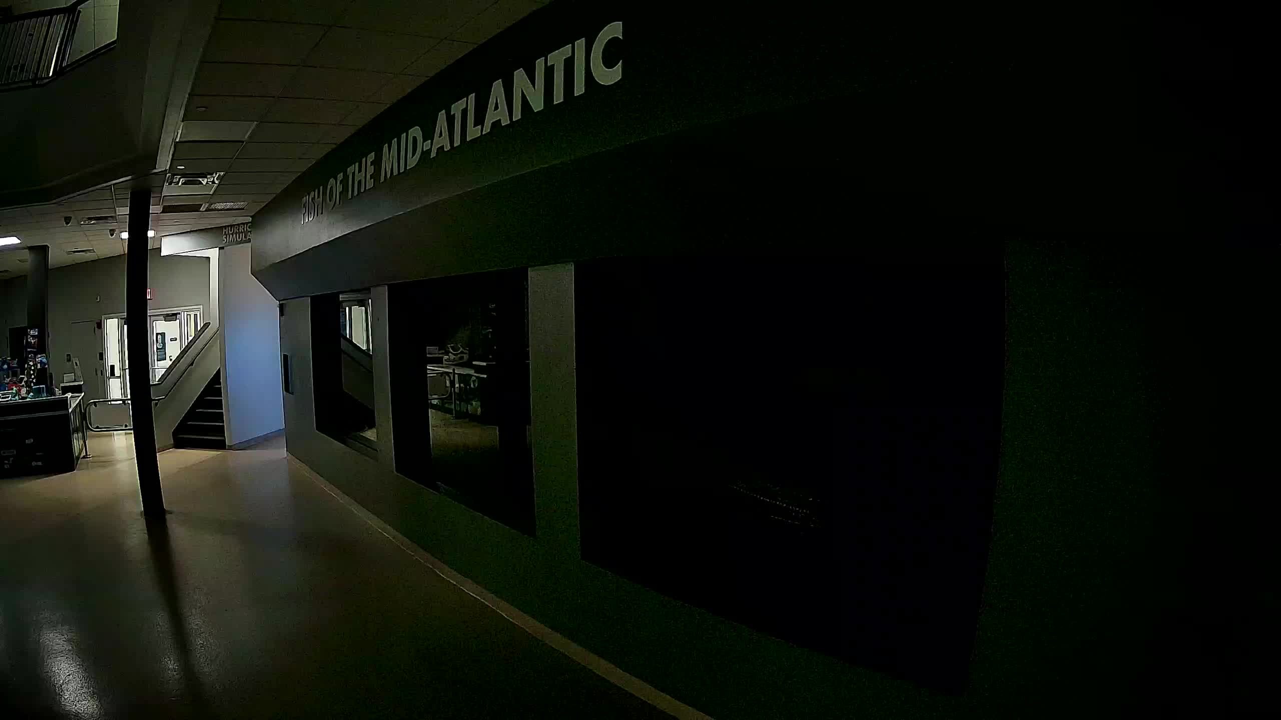 Atlantic City Aquarium Main Tank