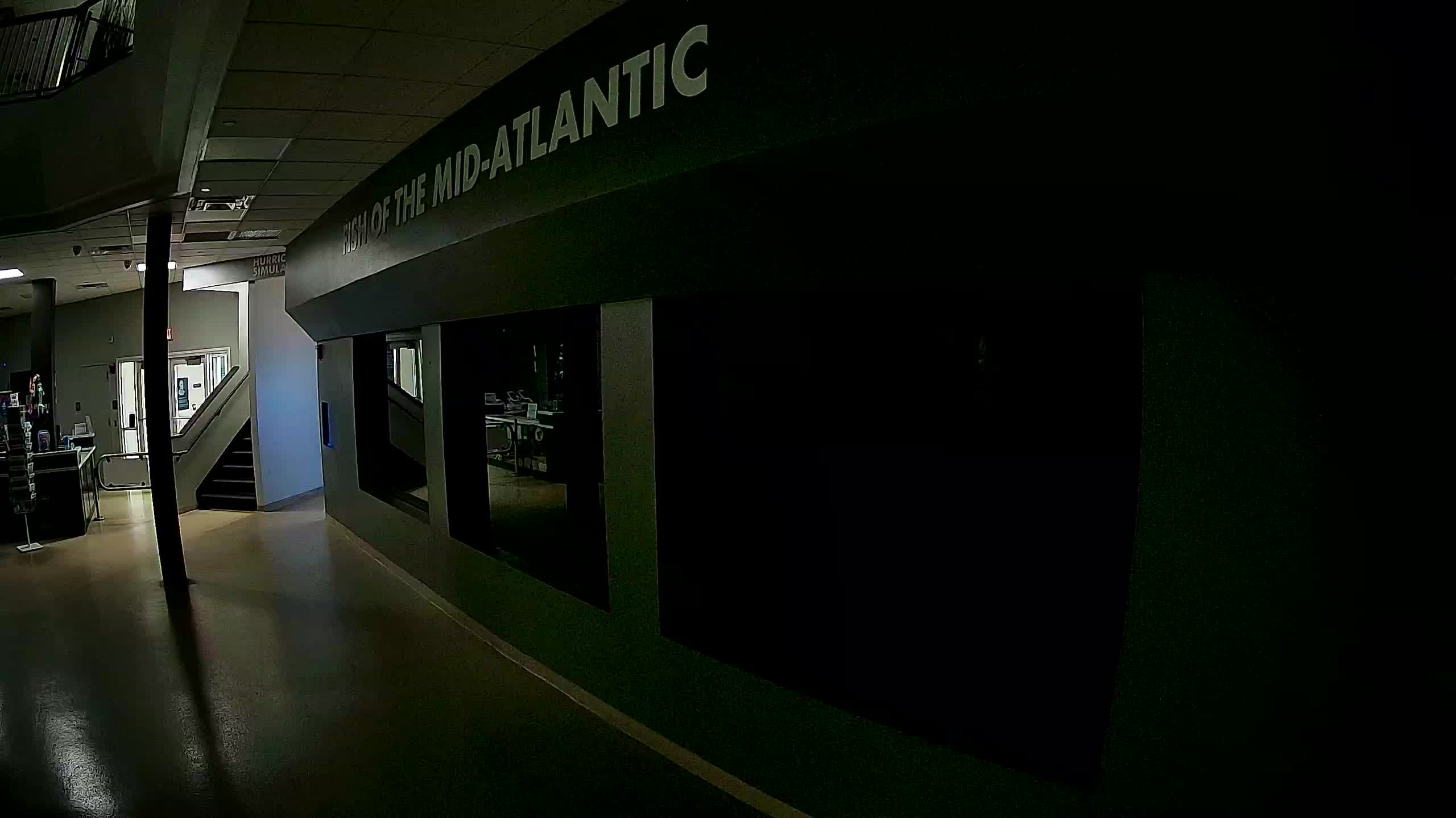 Atlantic City Aquarium Main Tank
