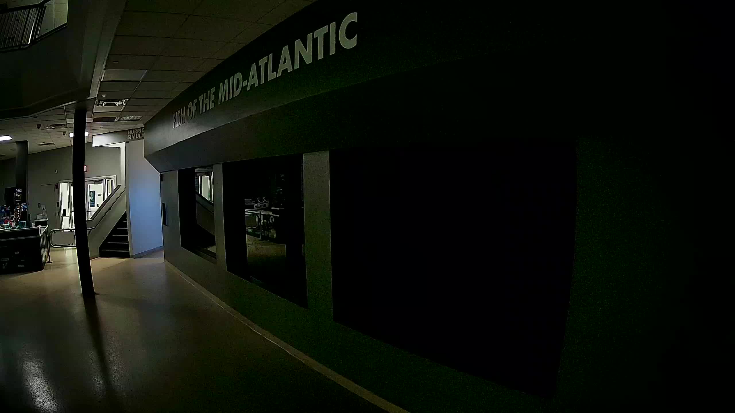 Atlantic City Aquarium Main Tank