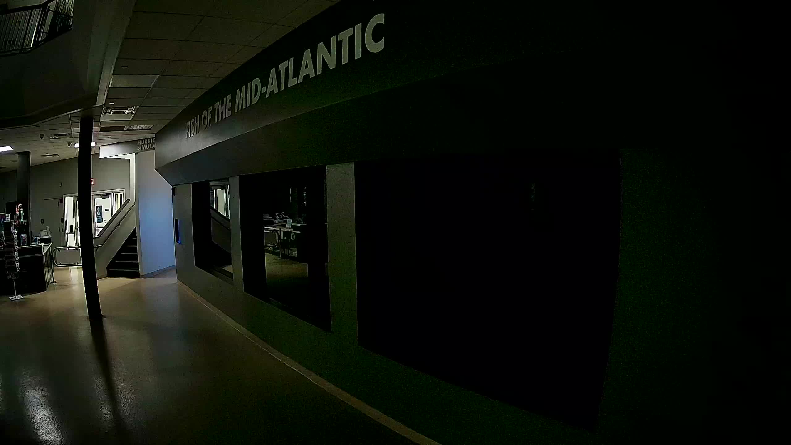 Atlantic City Aquarium Main Tank