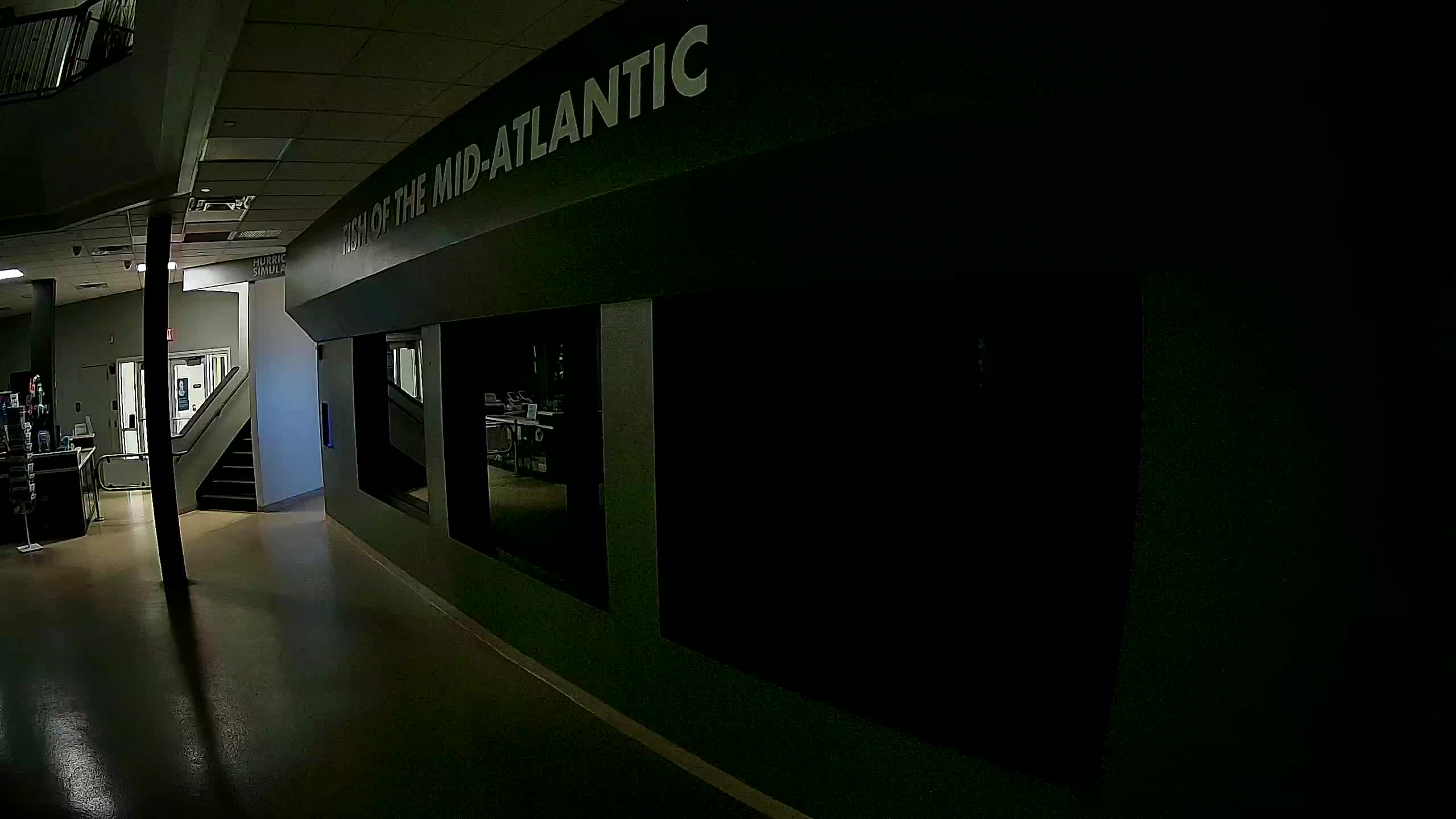 Atlantic City Aquarium Main Tank