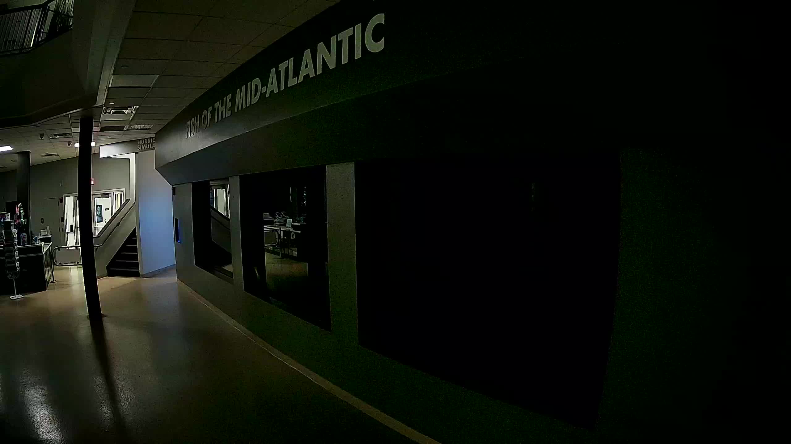 Atlantic City Aquarium Main Tank