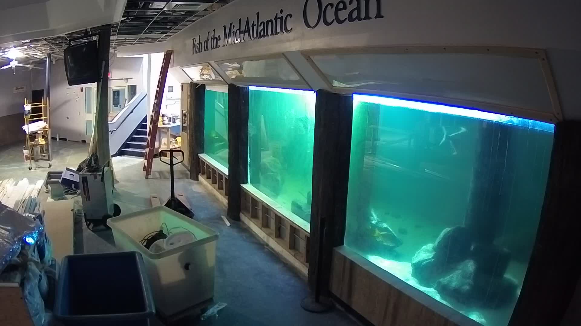 Atlantic City Aquarium Main Tank
