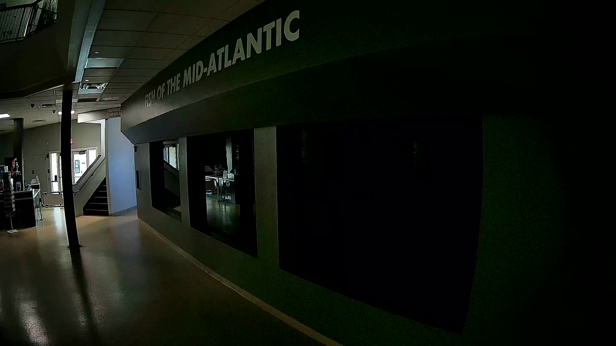 Atlantic City Aquarium Main Tank