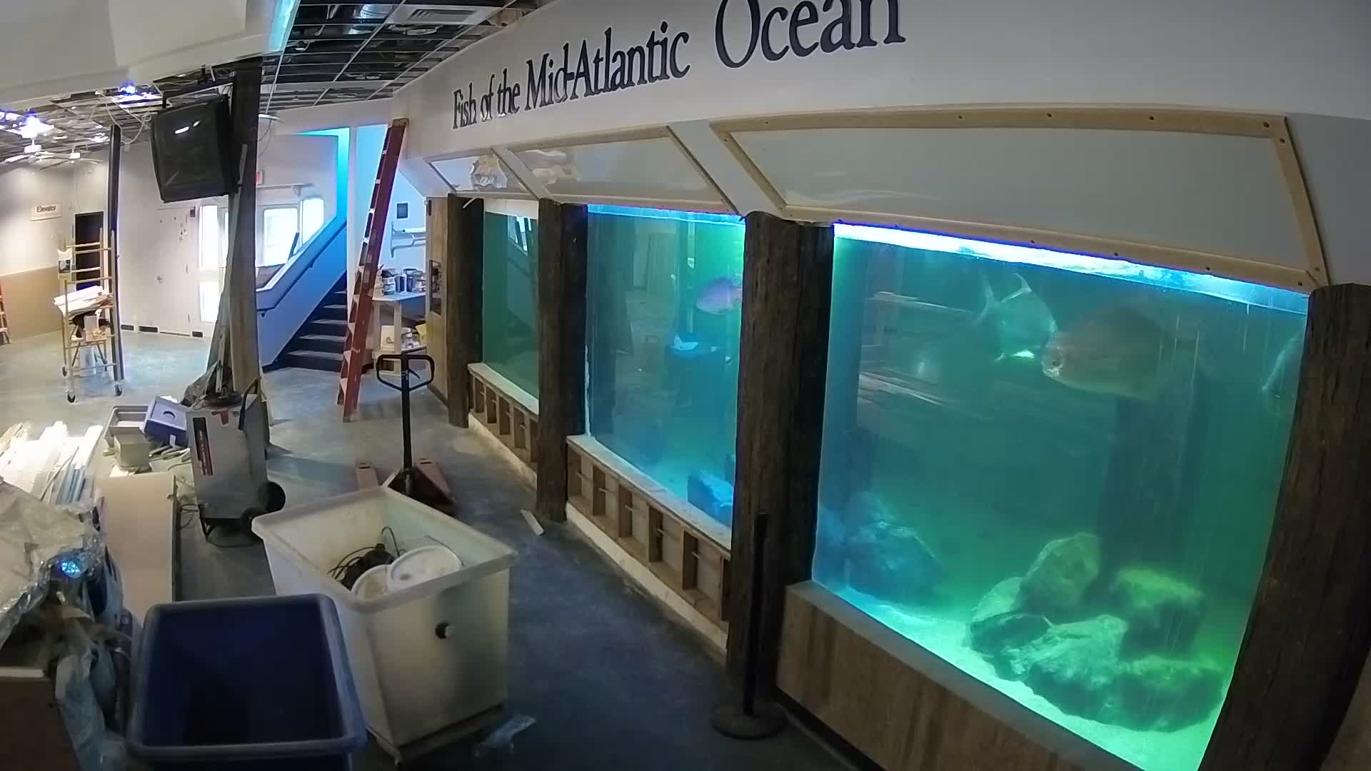 Atlantic City Aquarium Main Tank