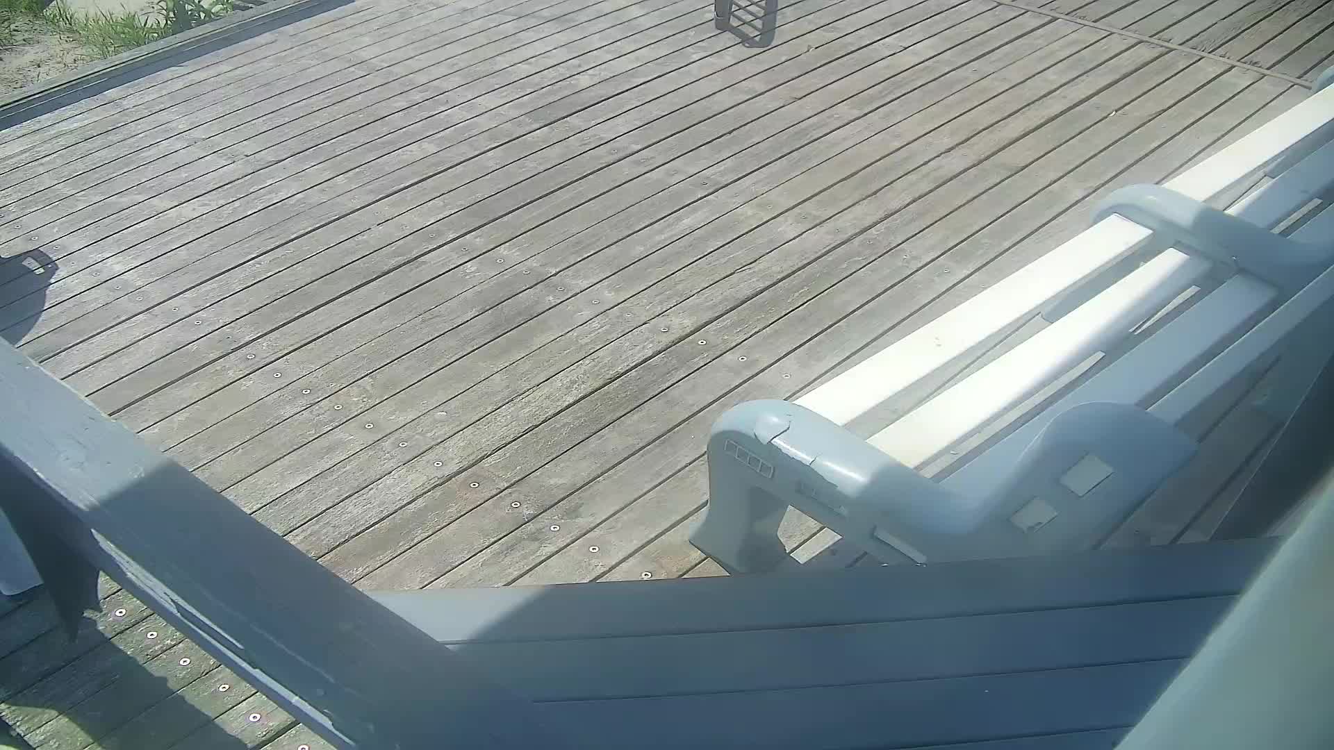 ACBP South PTZ Surf Cam