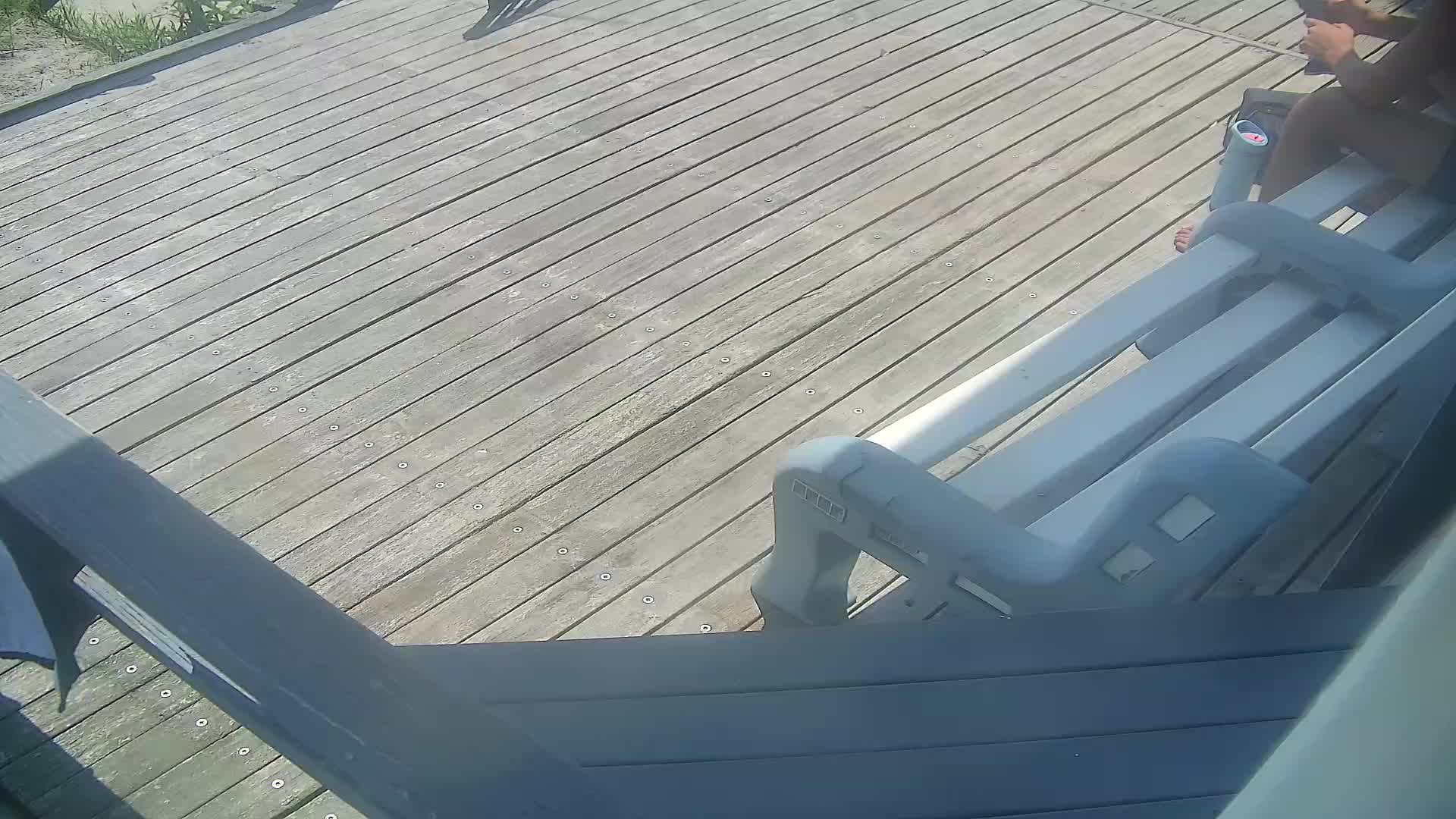 ACBP South PTZ Surf Cam