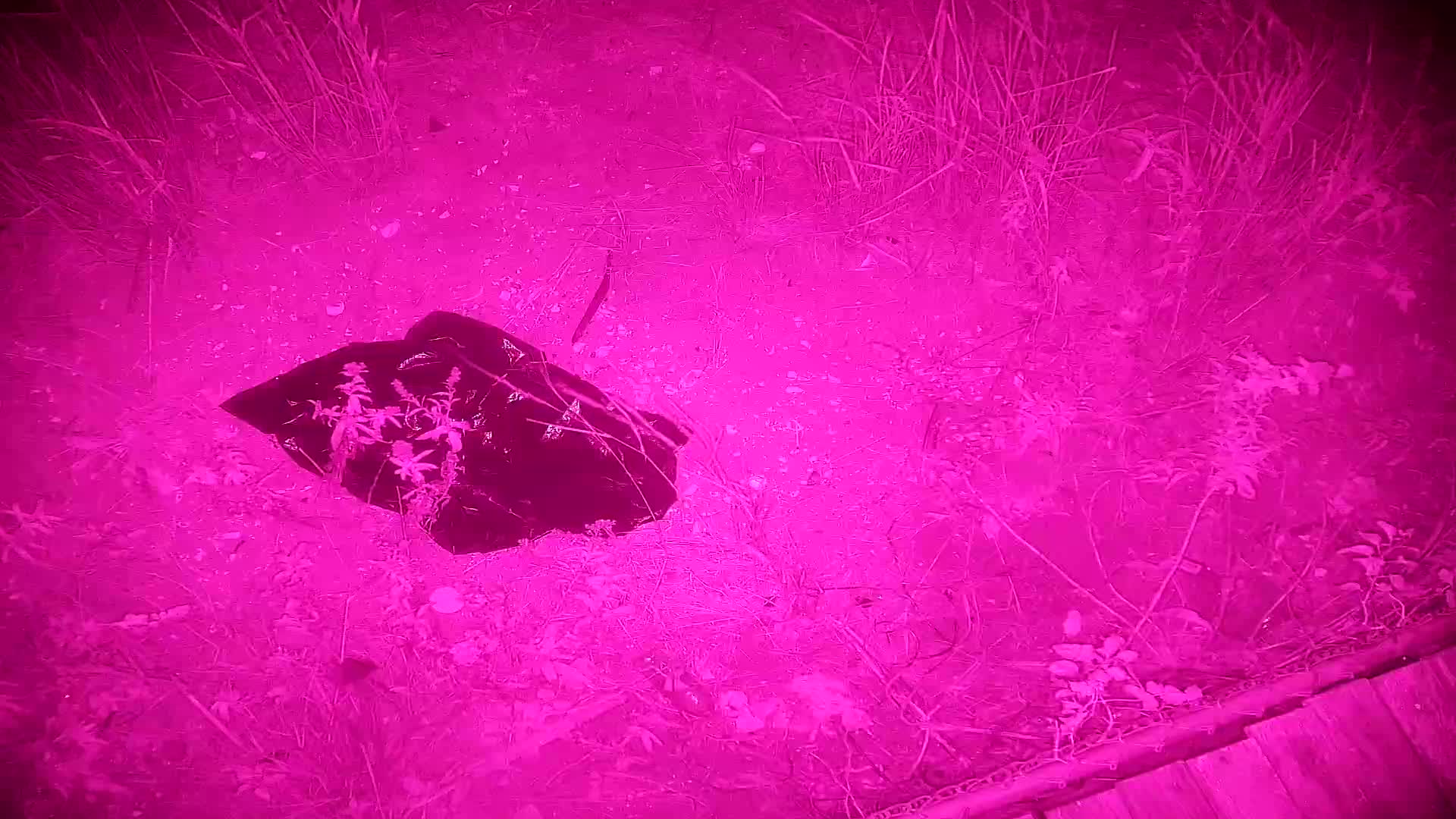 ACBP South PTZ Surf Cam