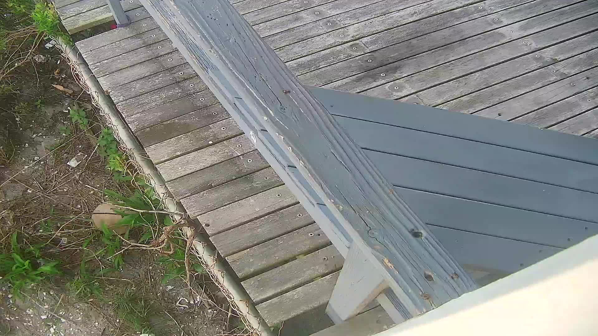 ACBP South PTZ Surf Cam