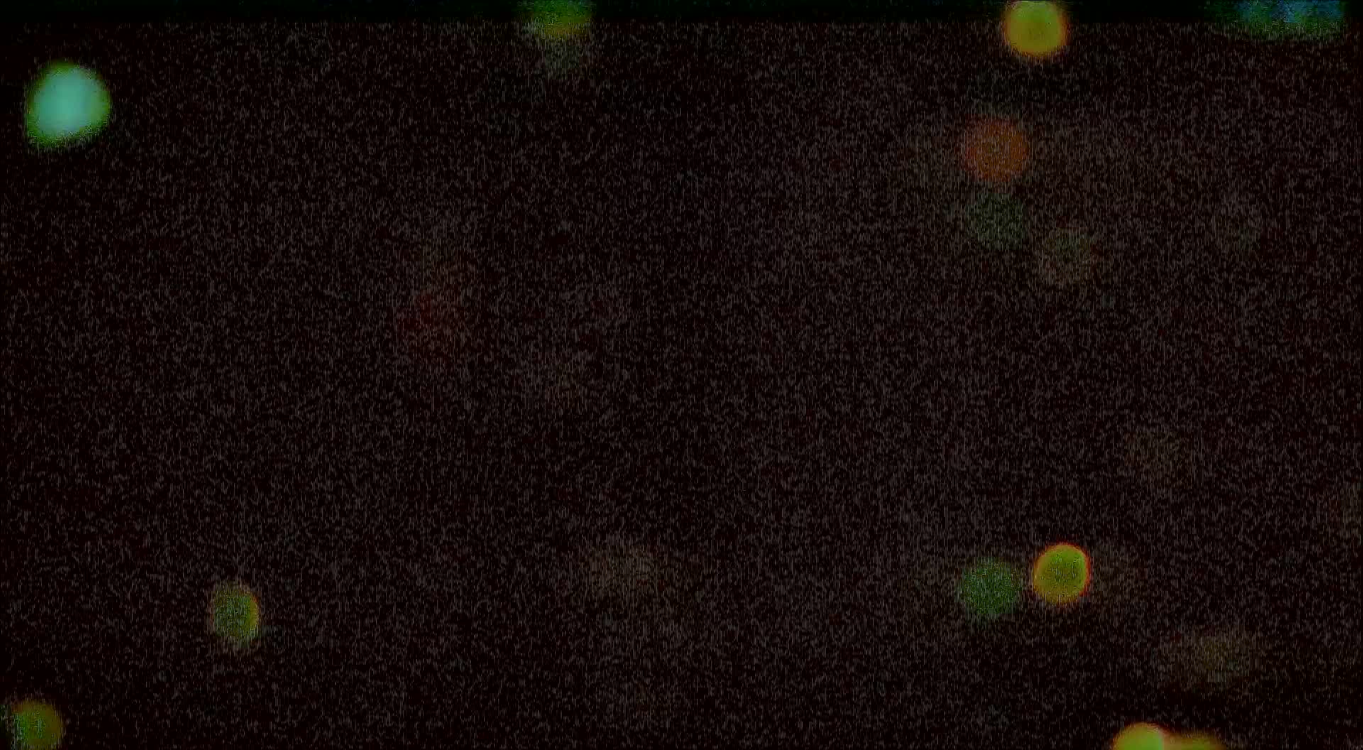 Battleship NJ PTZ cam