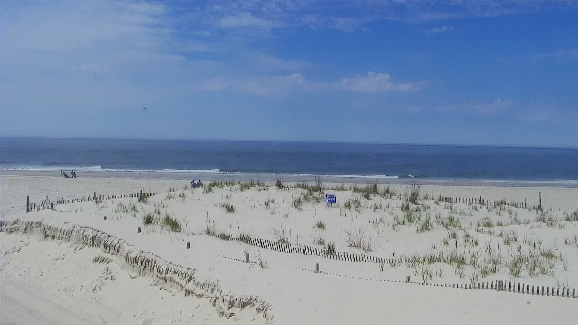 The Cove in Cape May Surf Cam