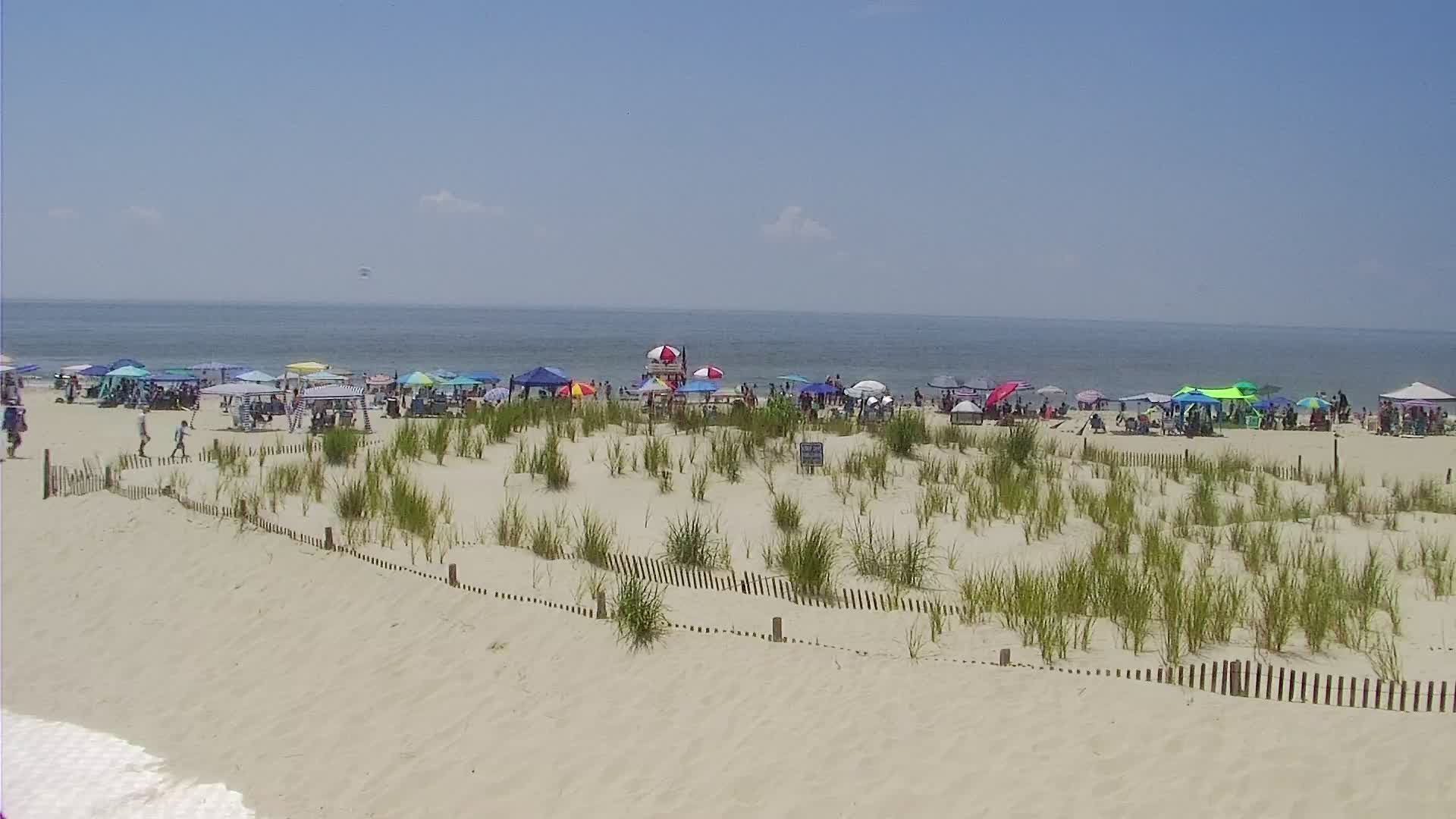 The Cove in Cape May Surf Cam