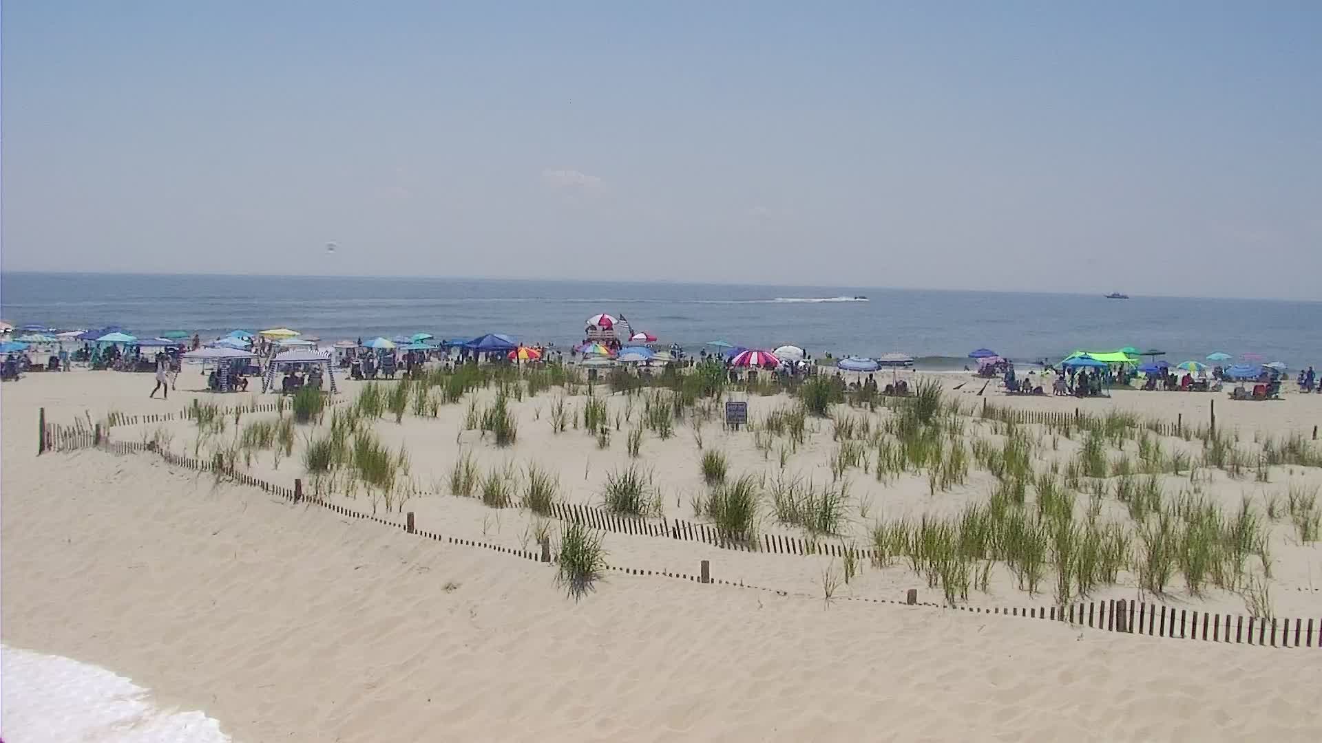 The Cove in Cape May Surf Cam