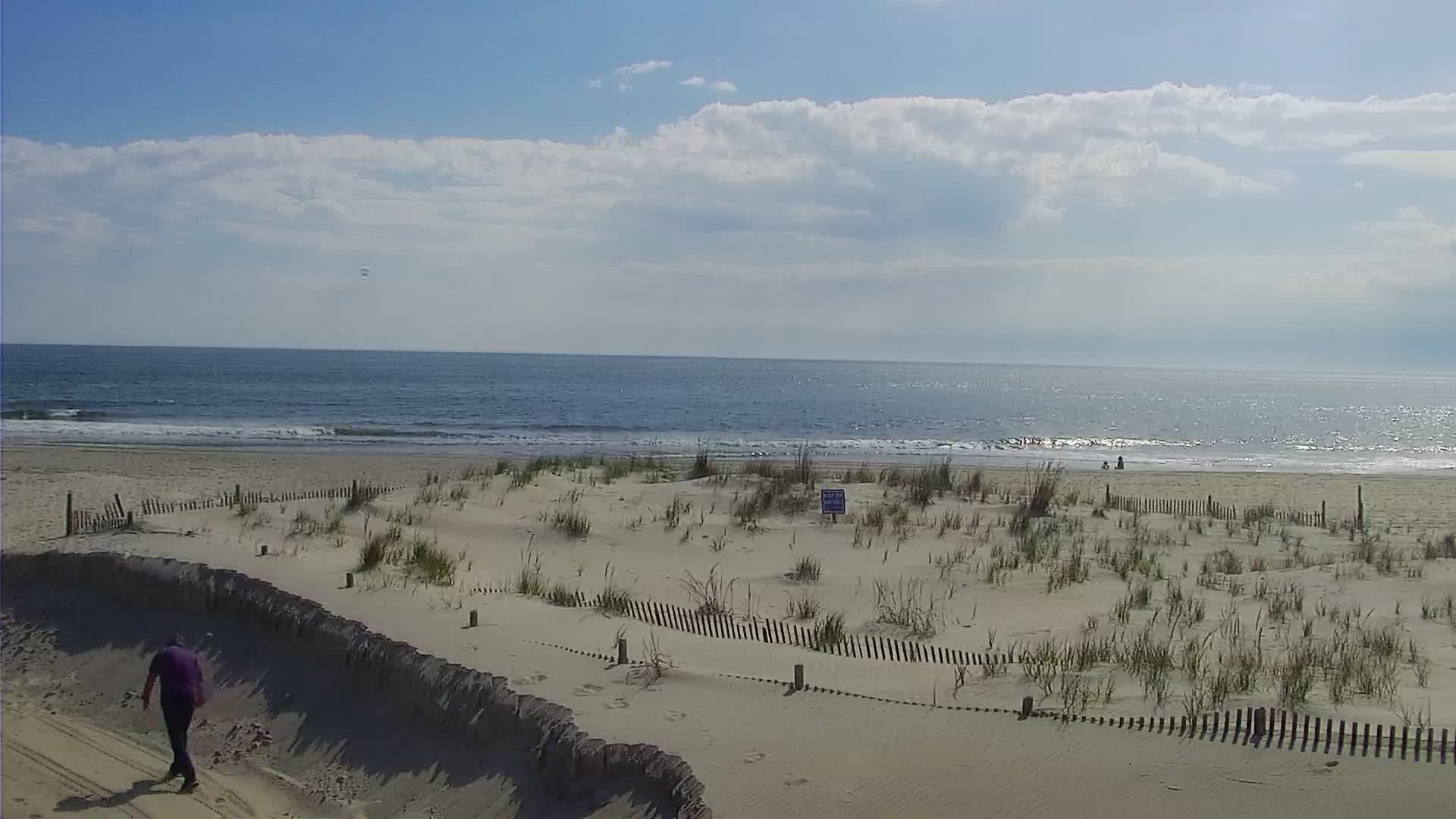 The Cove in Cape May Surf Cam