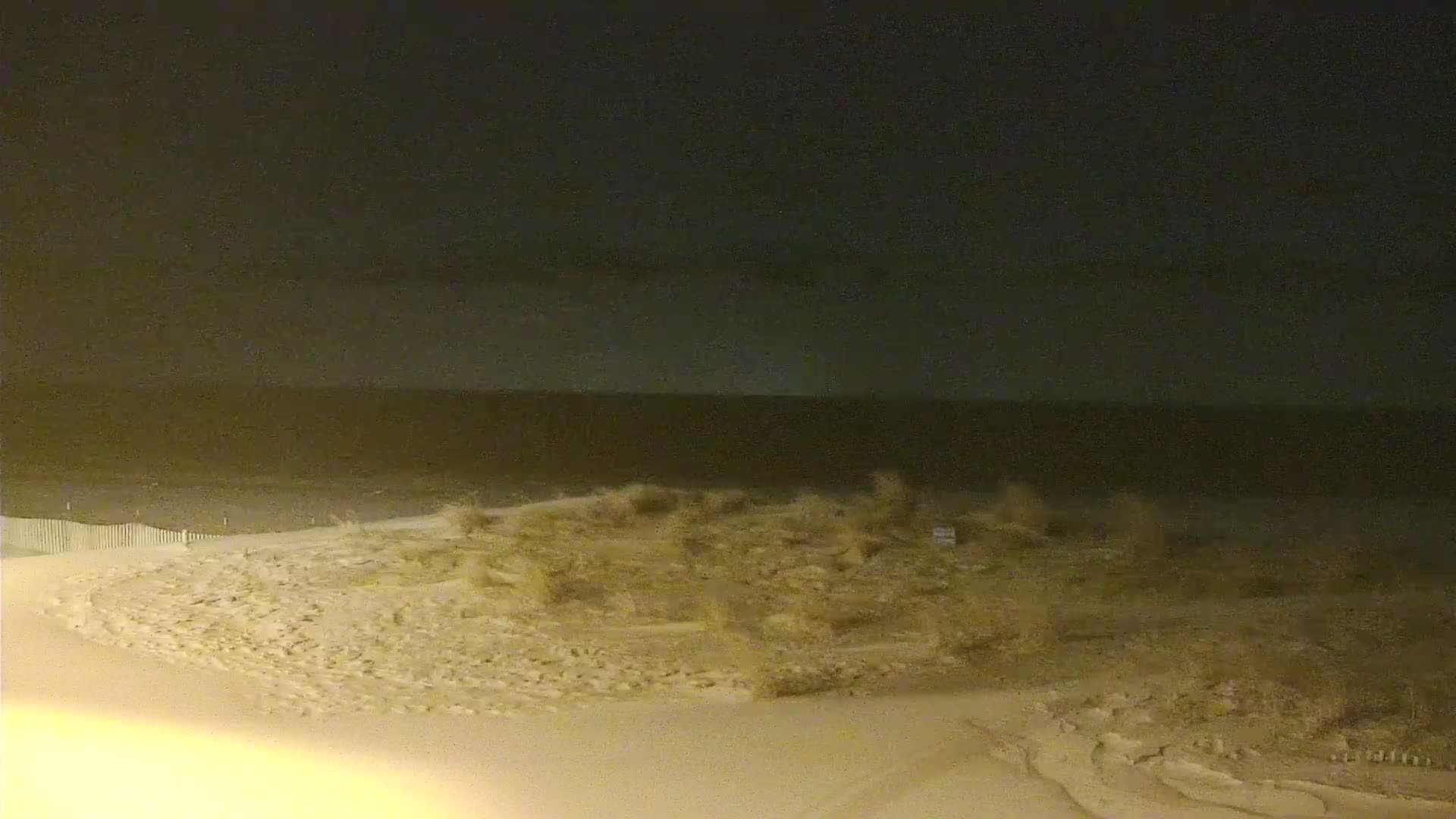 The Cove in Cape May Surf Cam