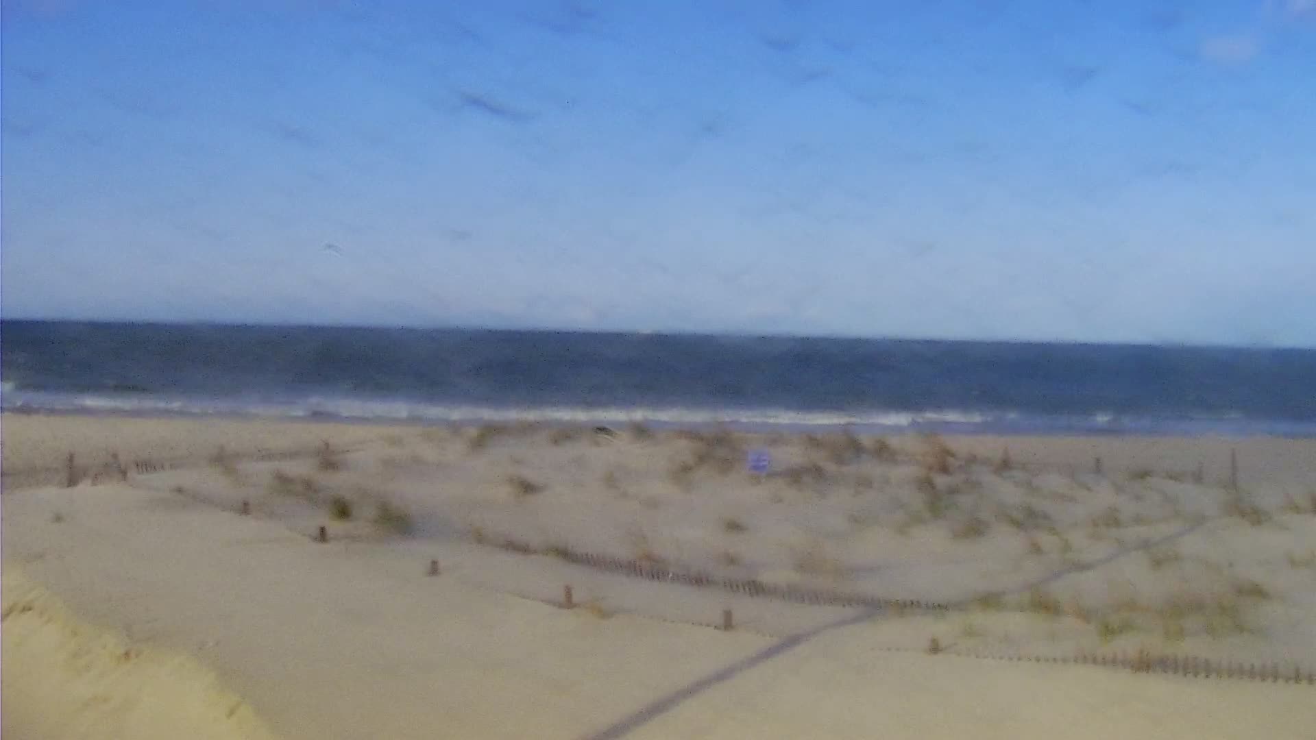 The Cove in Cape May Surf Cam