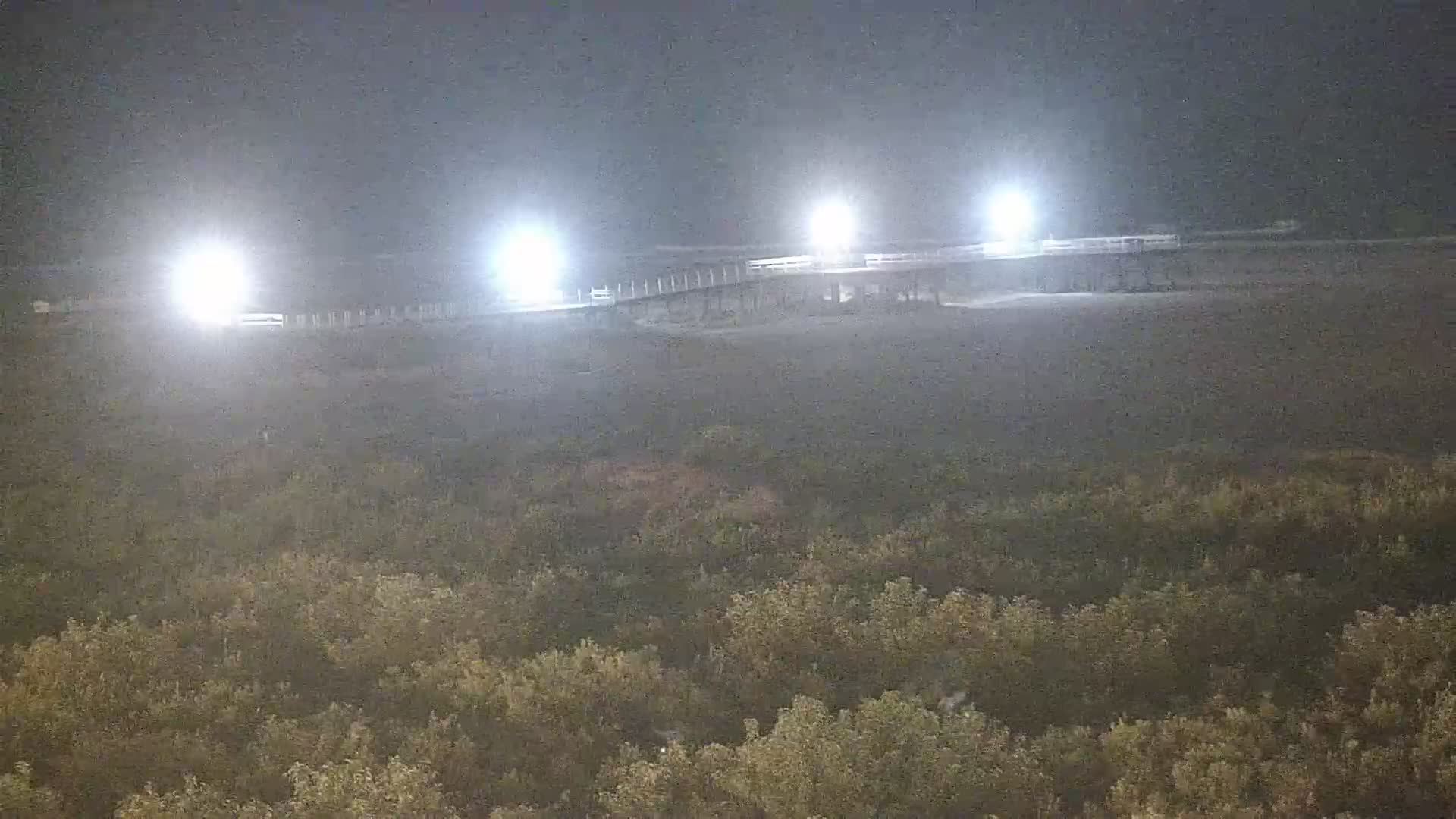 Crusader Resort View of Pier