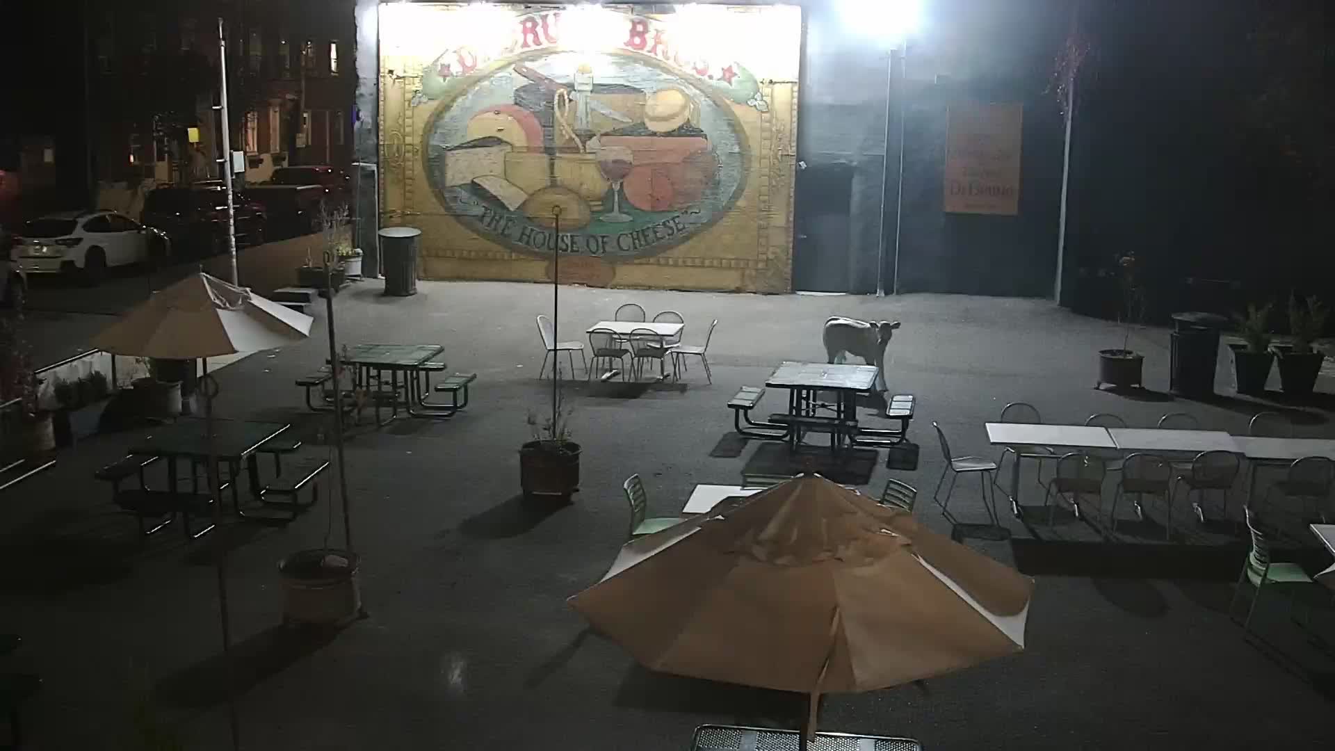 The House of Cheese - Pronto pole cam looking at DiBruno Mural 