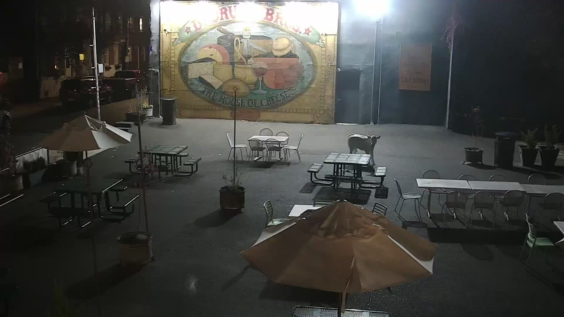 The House of Cheese - Pronto pole cam looking at DiBruno Mural 