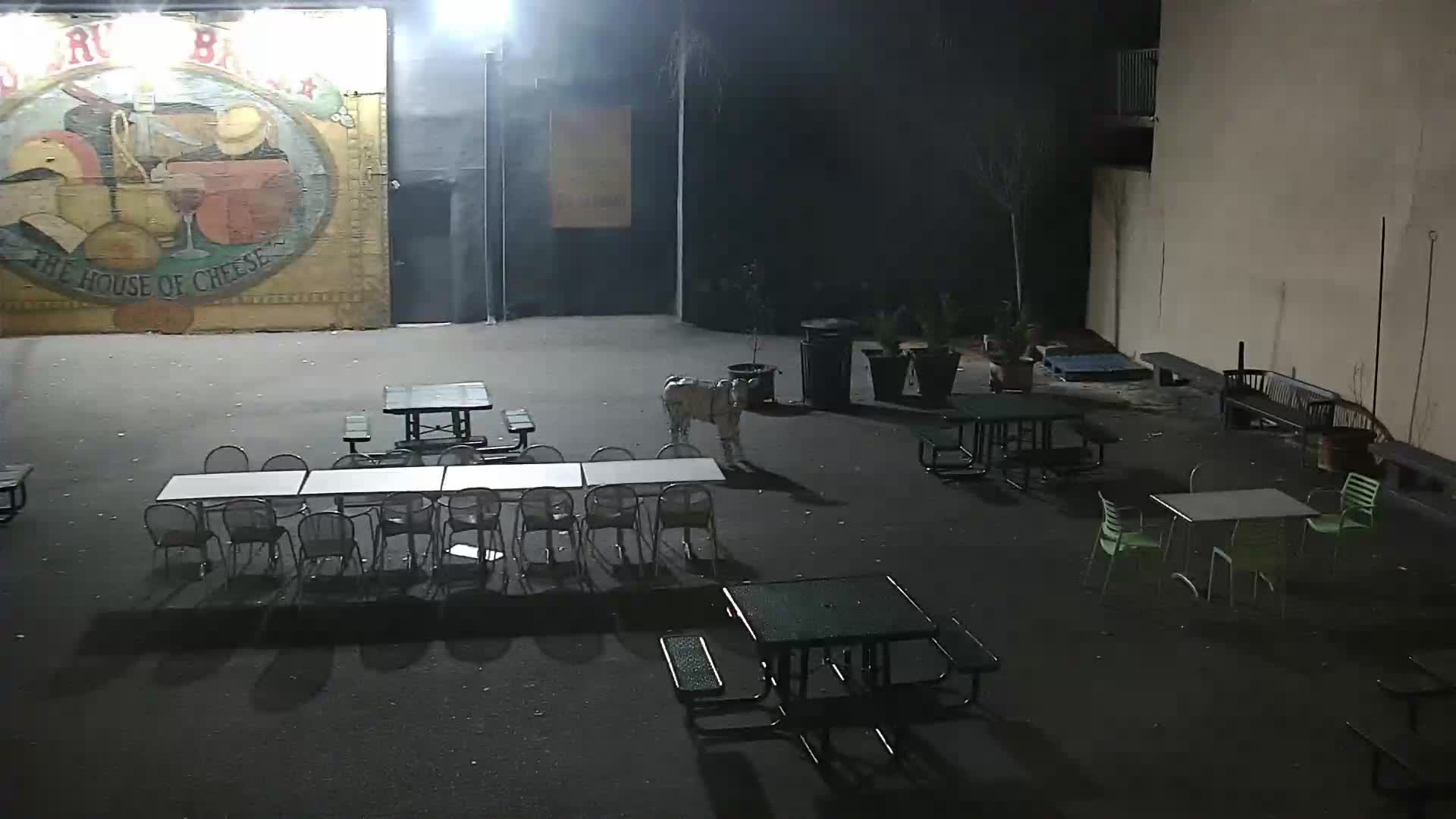 The House of Cheese - Pronto pole cam looking at DiBruno Mural 