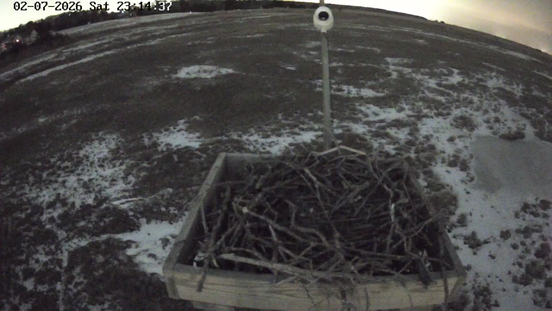 Forsythe Wildlife Refuge Osprey Cam Looking North