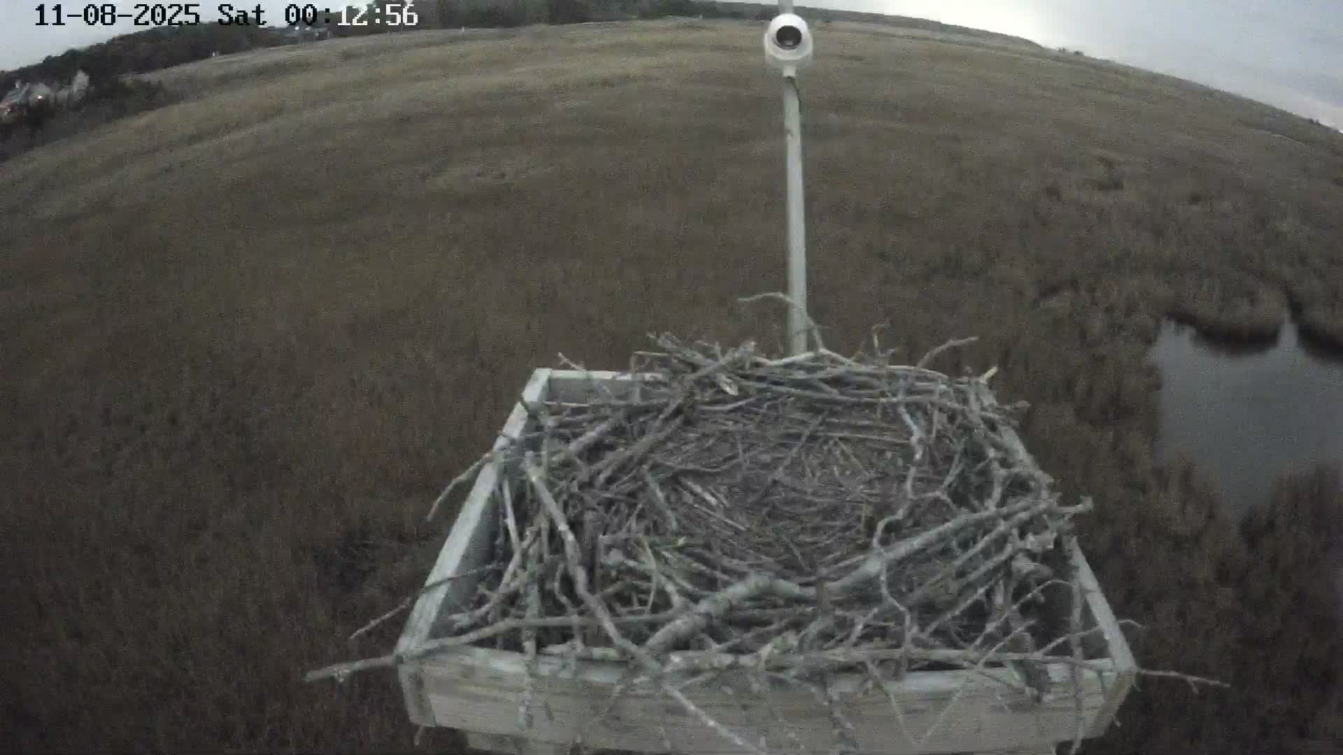 Forsythe Wildlife Refuge Osprey Cam Looking North