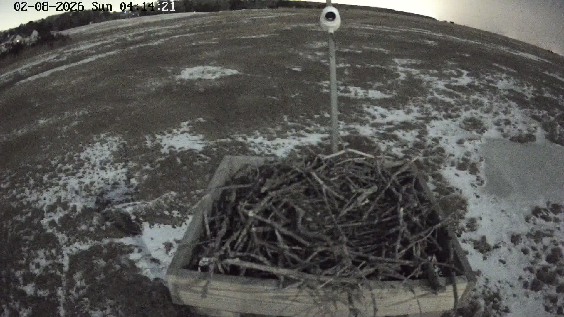 Forsythe Wildlife Refuge Osprey Cam Looking North