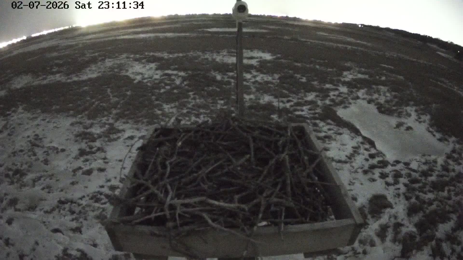 Forsythe Wildlife Refuge Osprey Cam Looking South