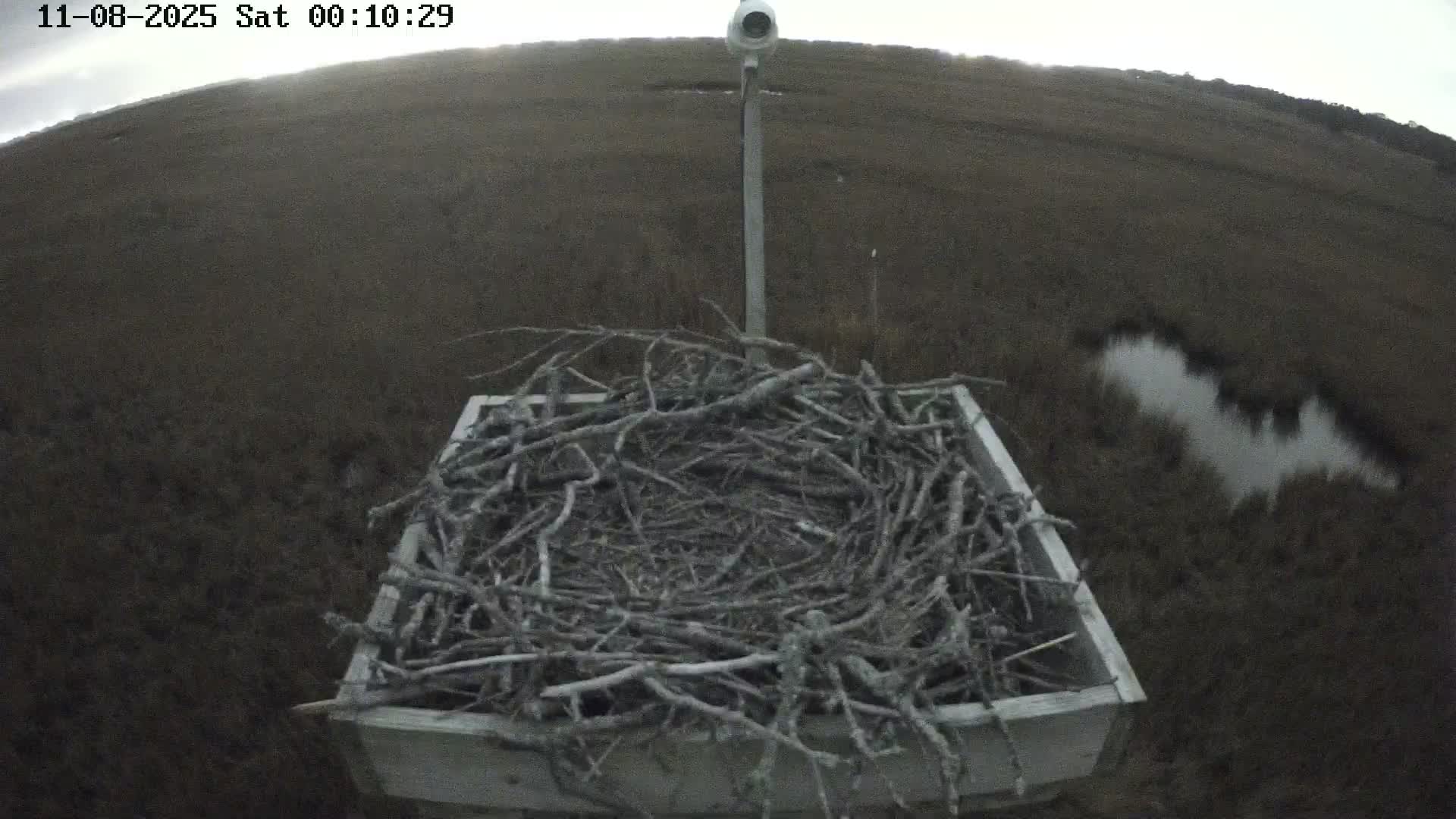 Forsythe Wildlife Refuge Osprey Cam Looking South