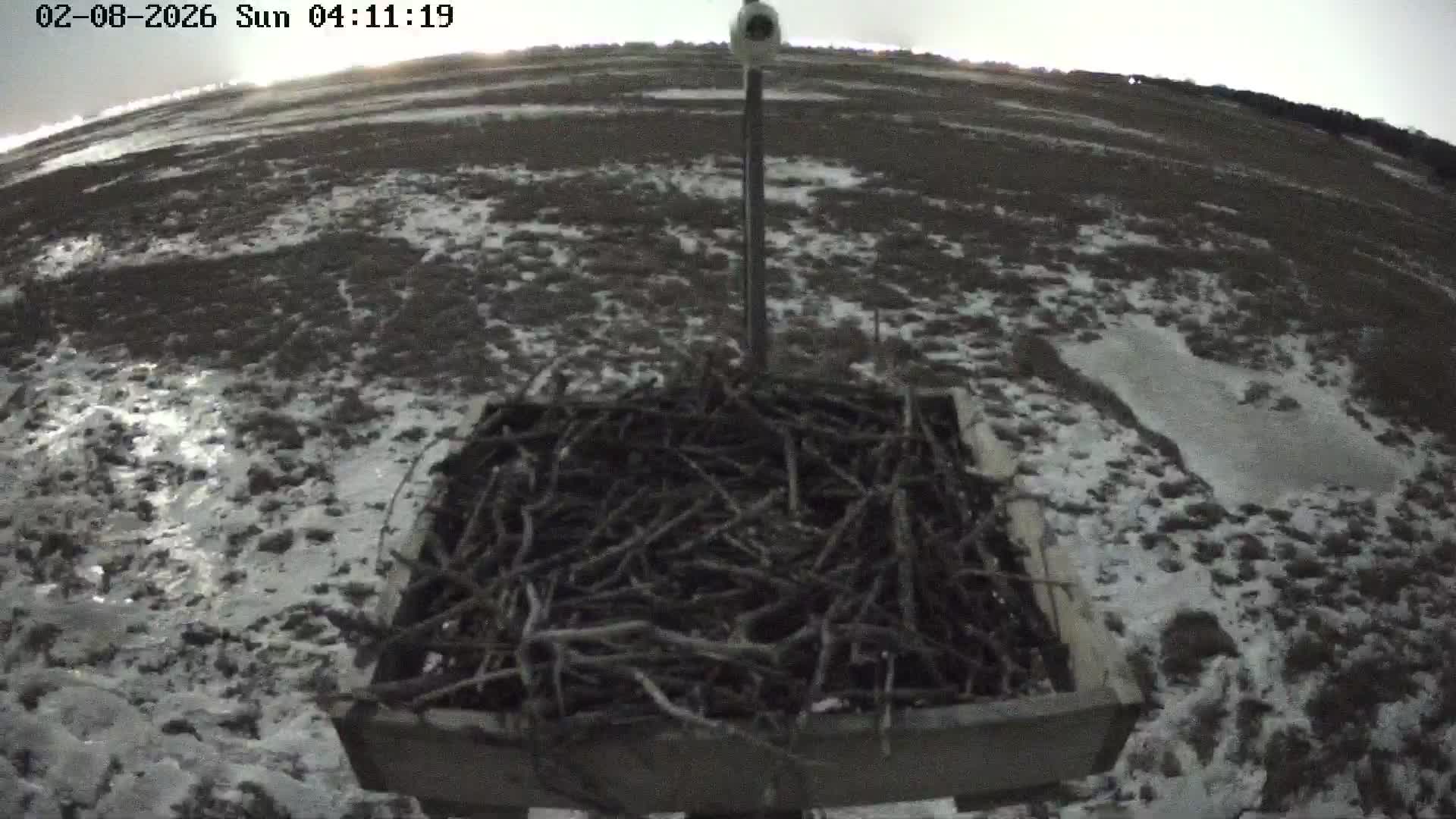 Forsythe Wildlife Refuge Osprey Cam Looking South