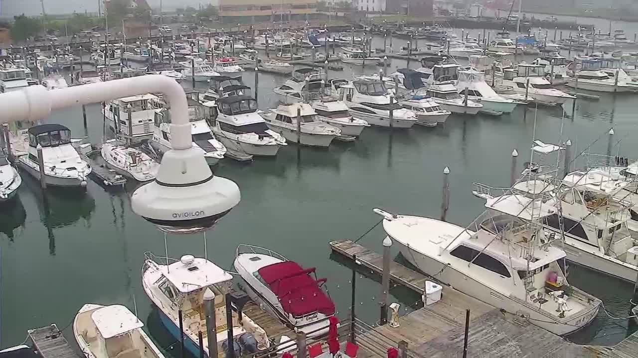 Golden Nugget Cam from the marina auto pan PTZ cam