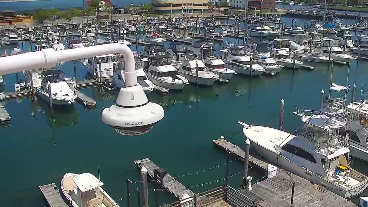 Golden Nugget Cam from the marina auto pan PTZ cam