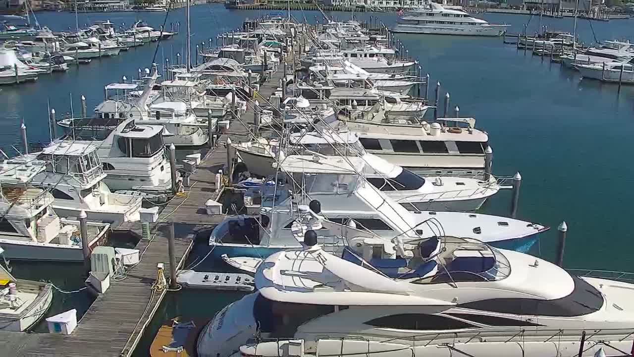 Golden Nugget Cam from the marina auto pan PTZ cam