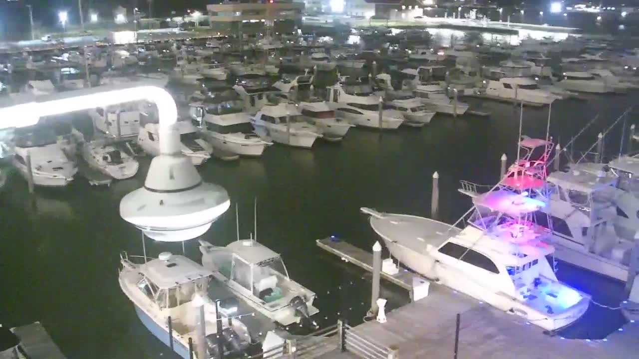 Golden Nugget Cam from the marina auto pan PTZ cam
