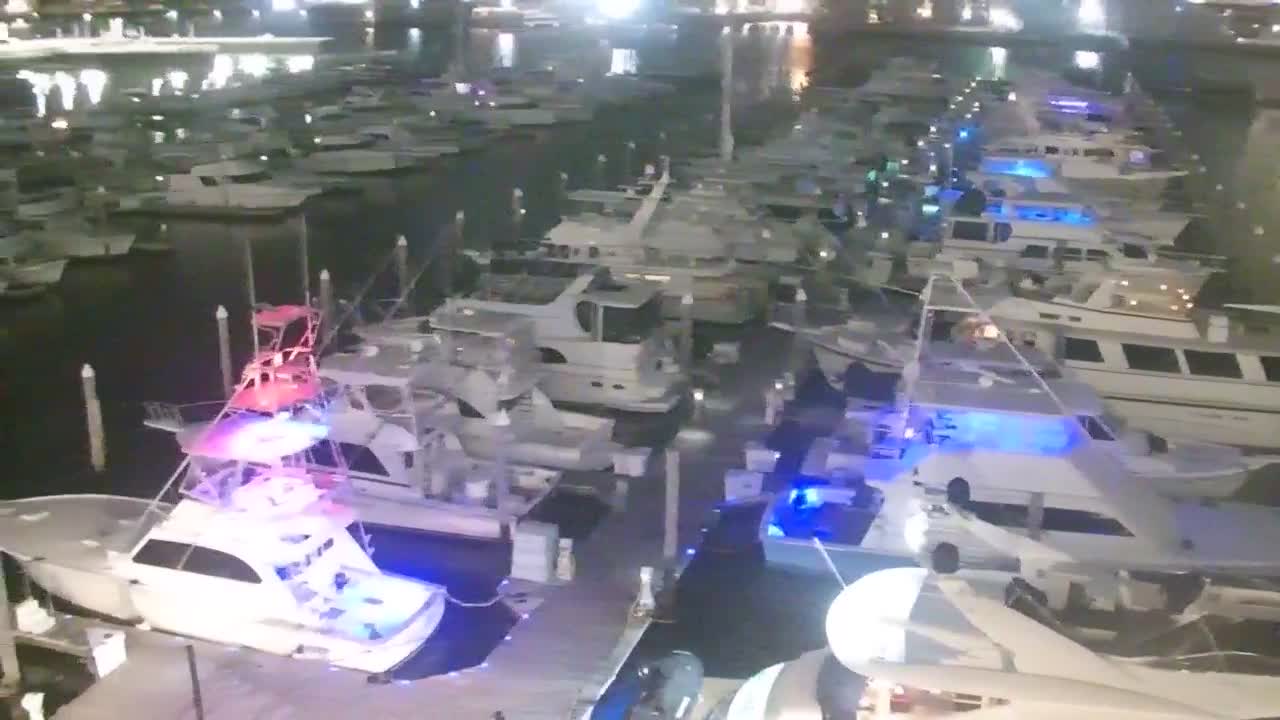 Golden Nugget Cam from the marina auto pan PTZ cam