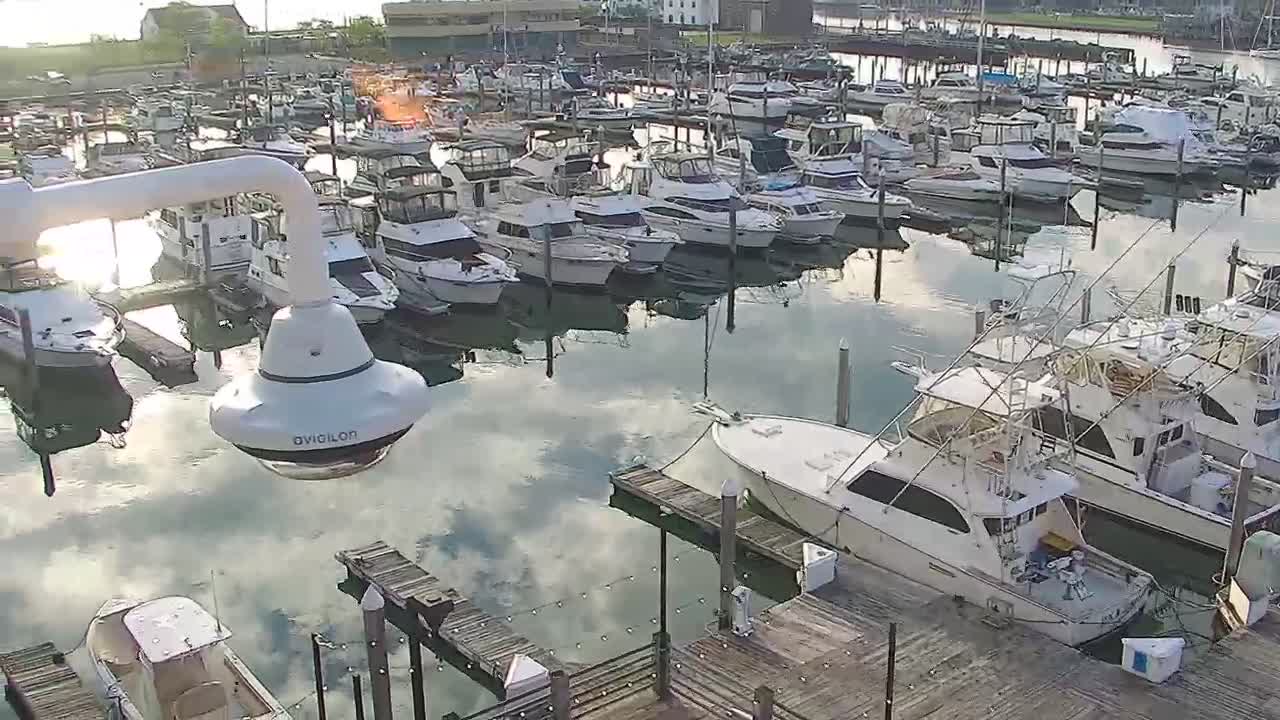 Golden Nugget Cam from the marina auto pan PTZ cam