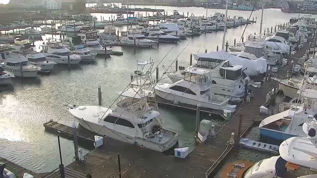 Golden Nugget Cam from the marina auto pan PTZ cam