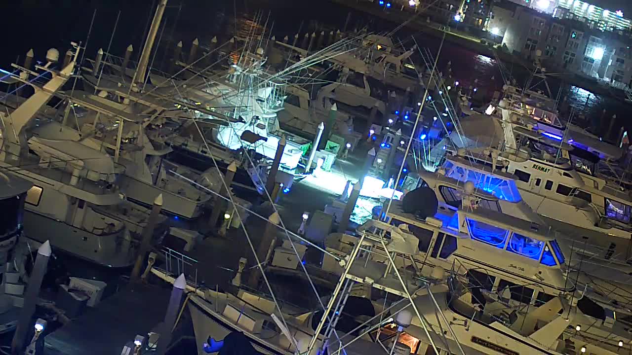 Golden Nugget Closeup looking East